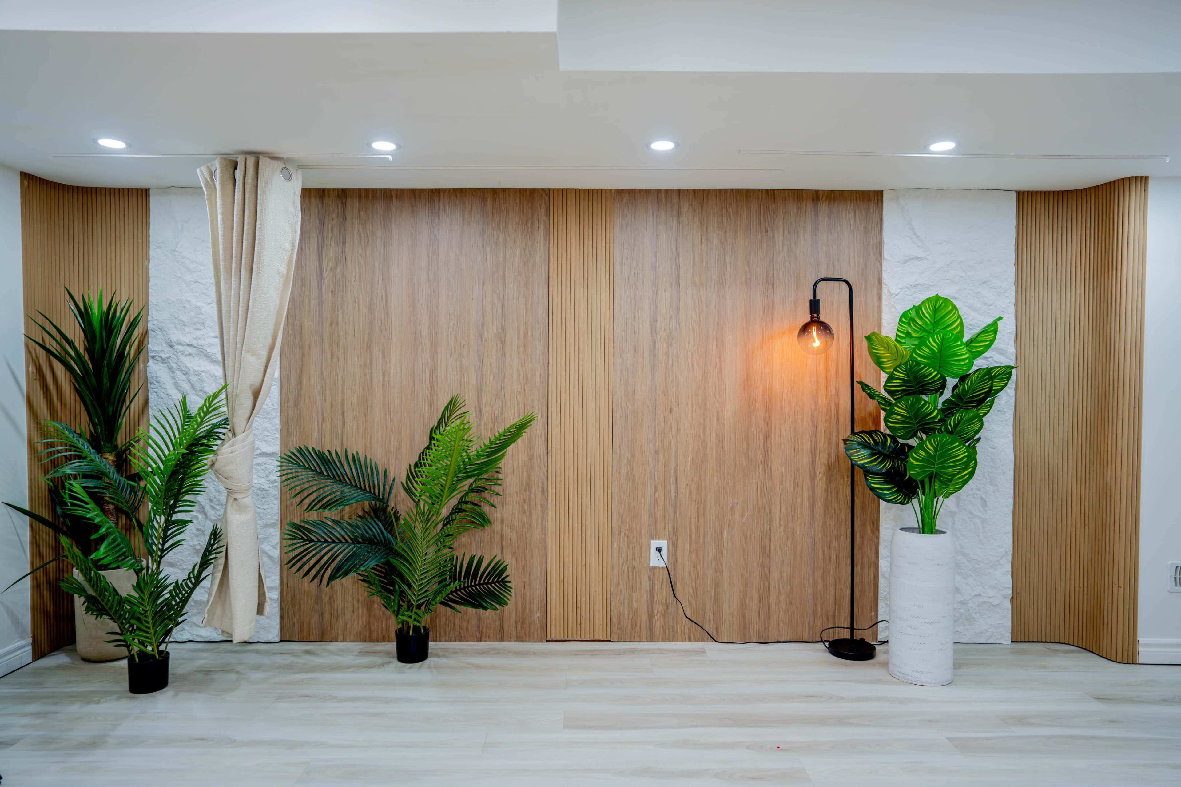 The image shows a minimalist interior with two potted plants flanking a textured wooden wall and a standing lamp on the right.