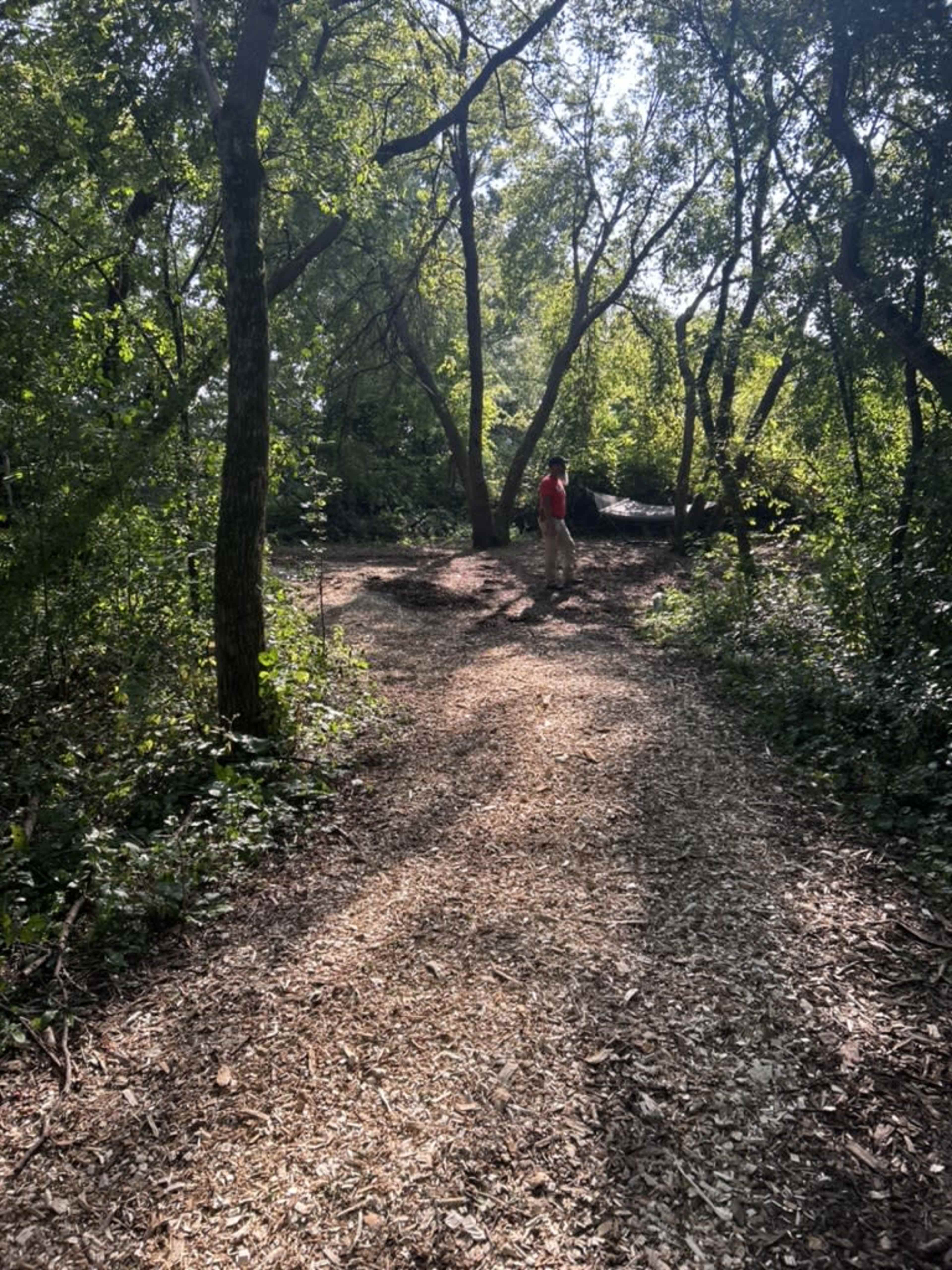 A person in a red shirt walks along a path in a wooded area surrounded by trees and greenery.