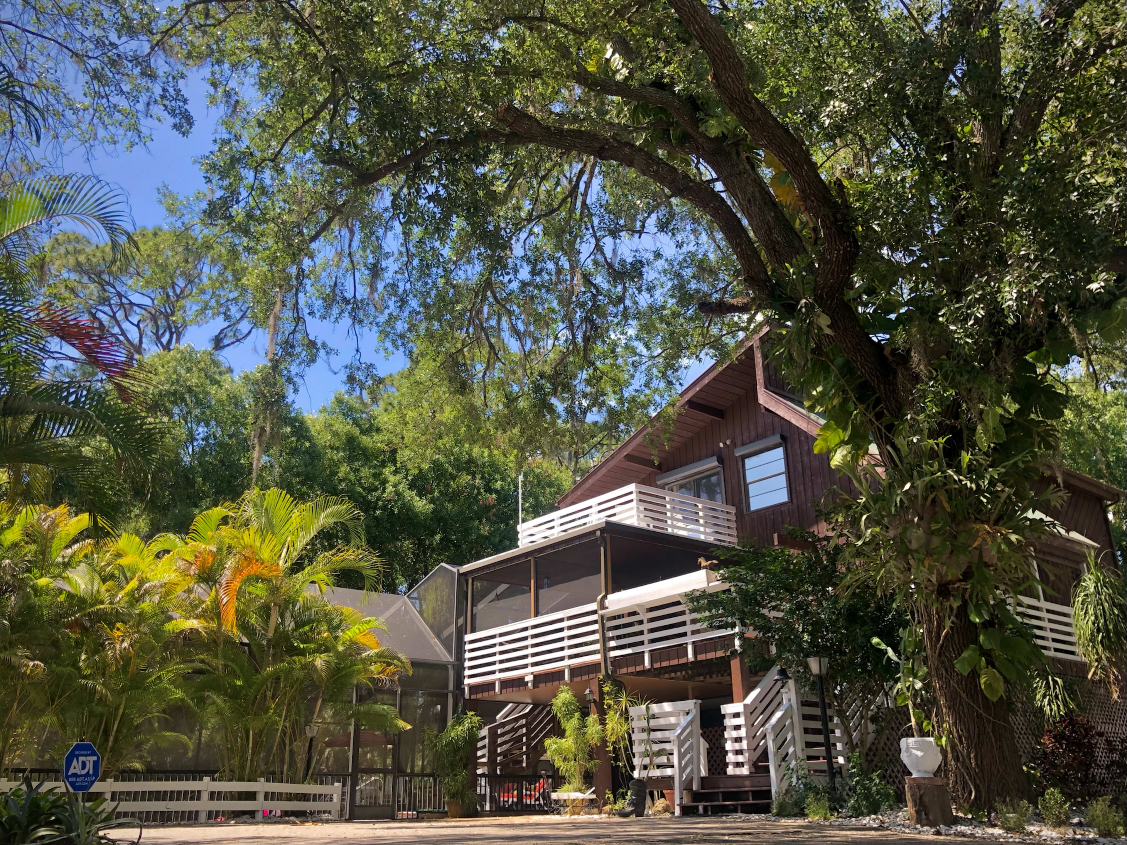 A wooden house with a large deck is surrounded by tropical plants and trees under a clear blue sky.