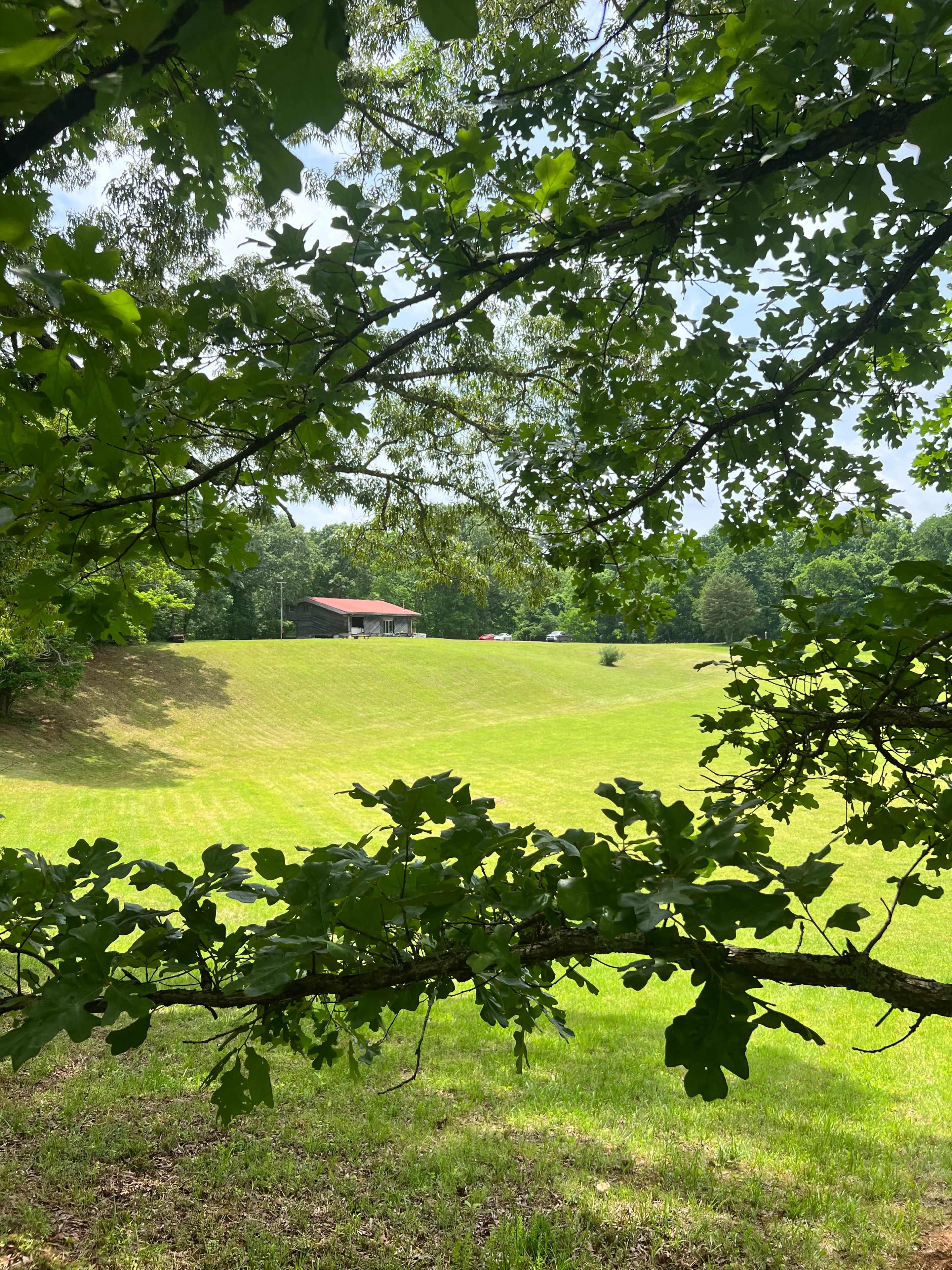 A grassy hillside is framed by branches, with a building visible in the distance under a clear sky.