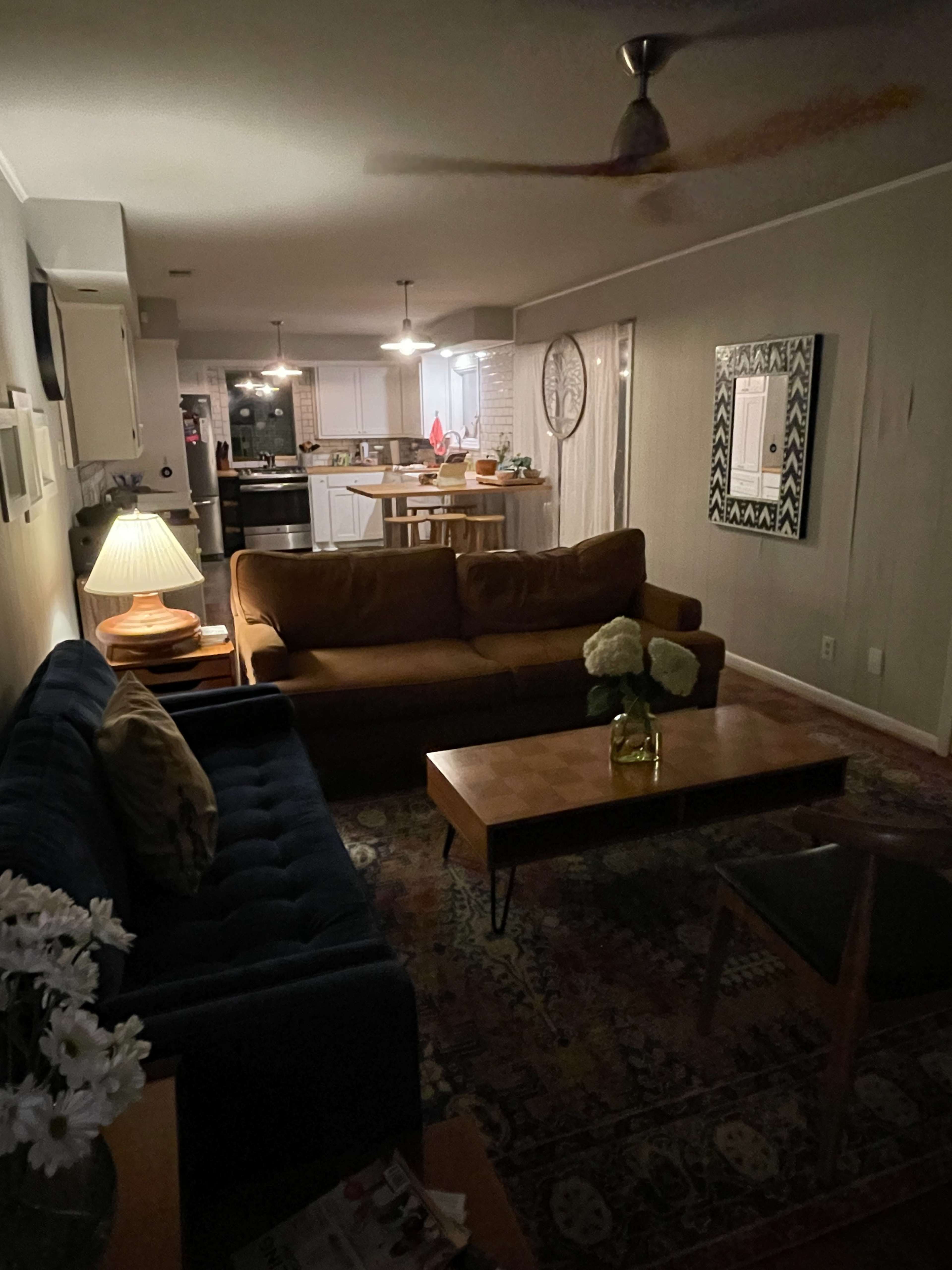A dimly lit living room with two sofas, a coffee table, and a kitchen visible in the background.
