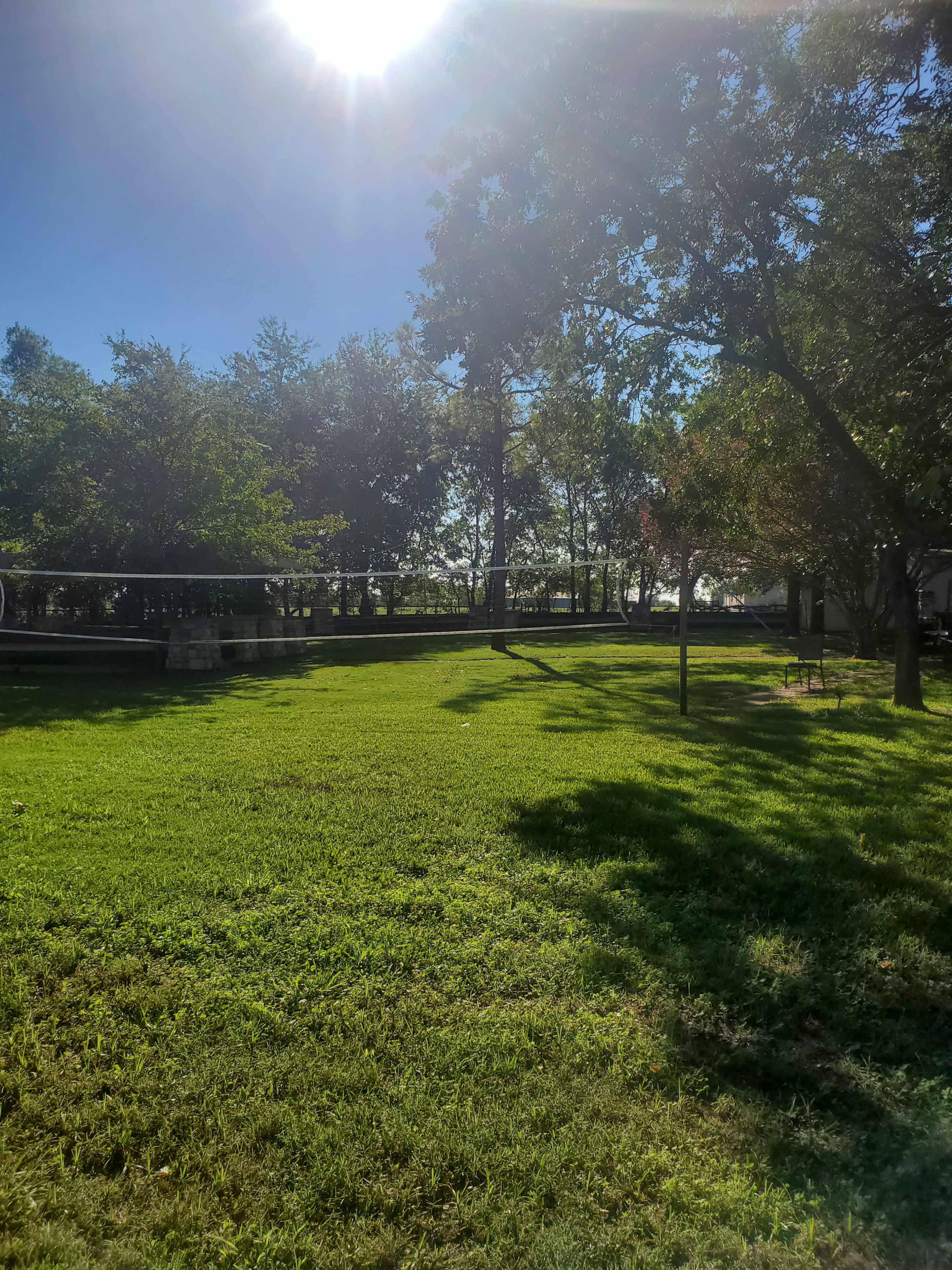 The image shows a sunny park with green grass and scattered trees.