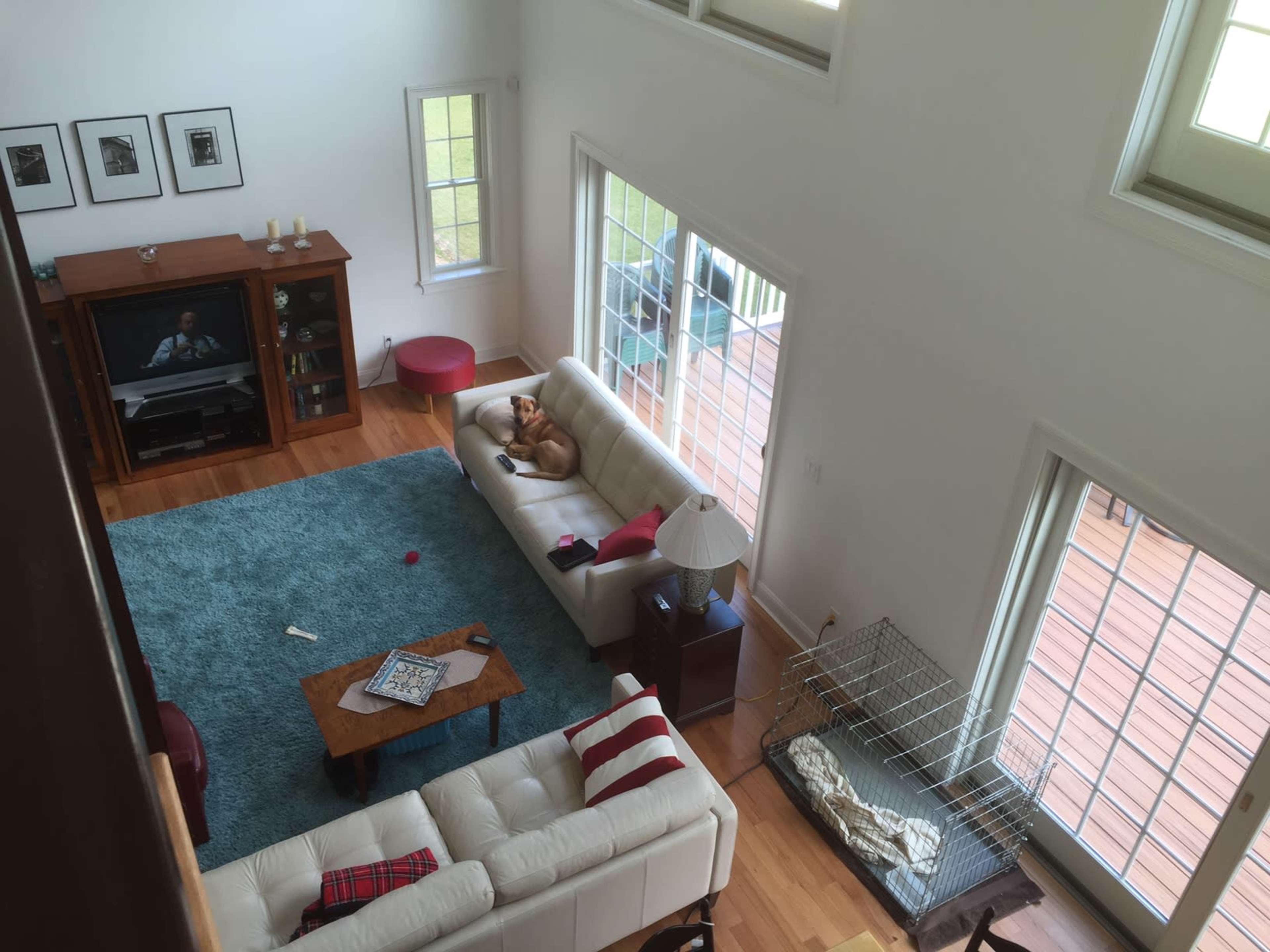 A bright living room with a dog lounging on a white couch, a wooden coffee table in the center, and a large window allowing natural light to enter.