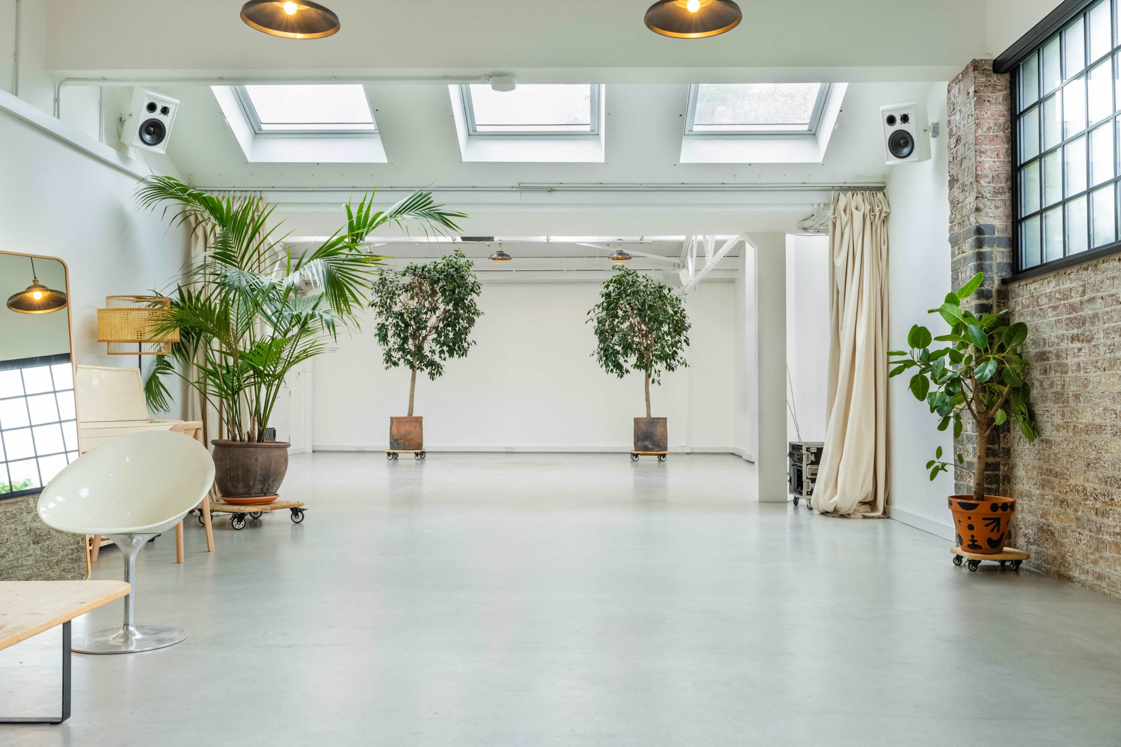 A spacious, well-lit room with large windows, two potted plants on wheels, and minimalist furniture.