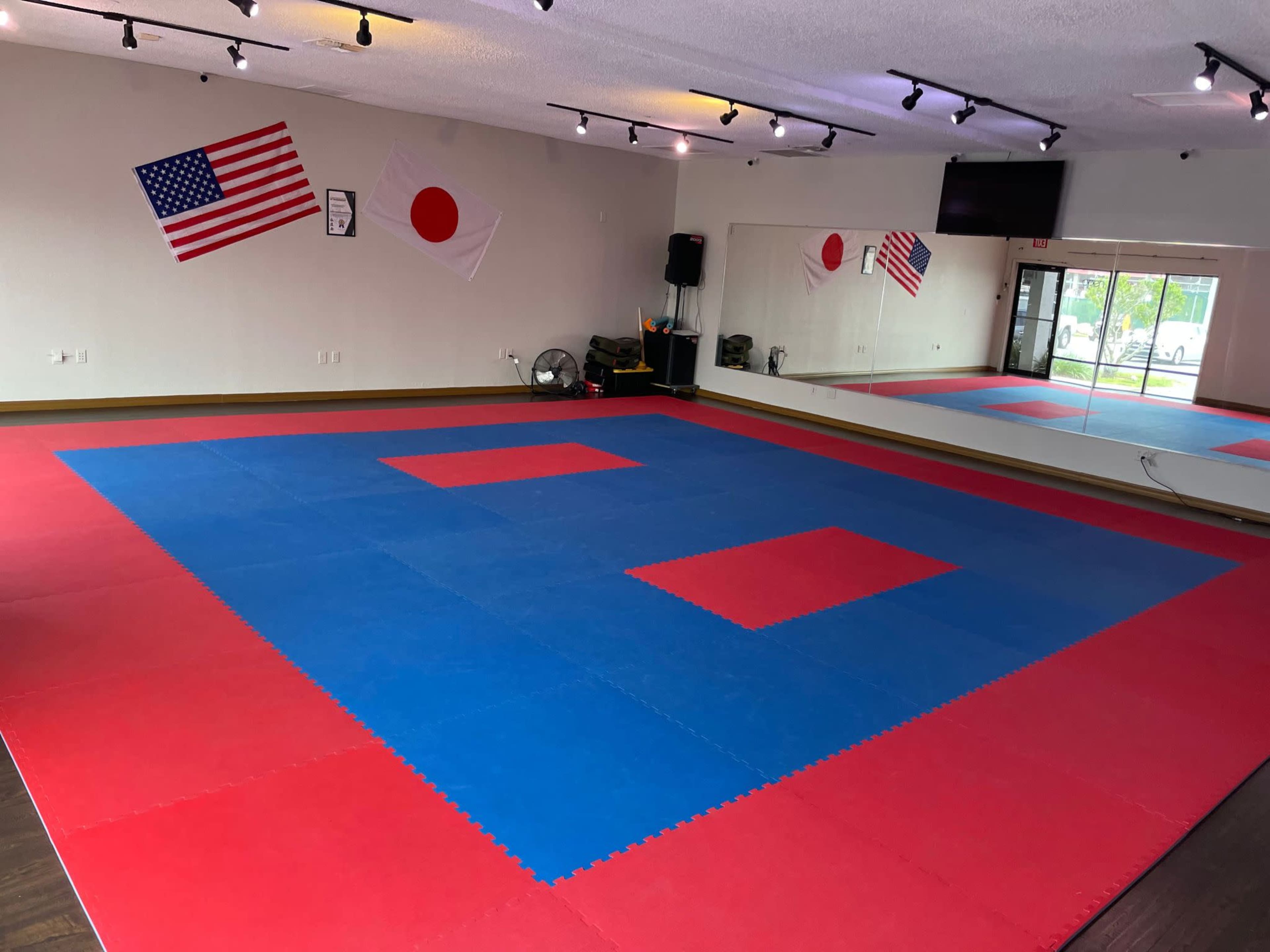 A martial arts training studio with red and blue mats, two flags hanging on the walls, and a large mirror reflecting the space.