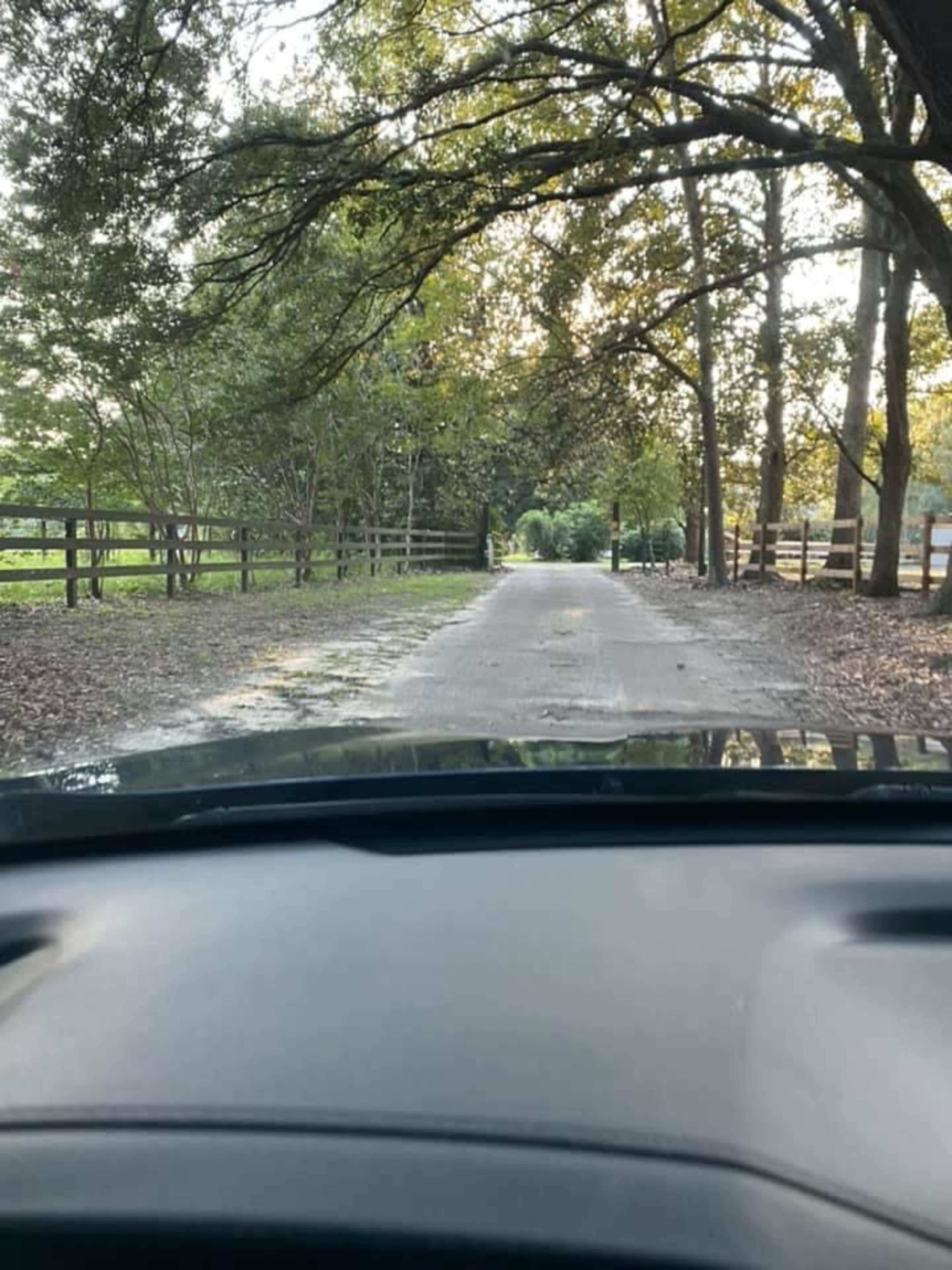 The view shows a gravel road lined by trees and a wooden fence, leading into a green area.