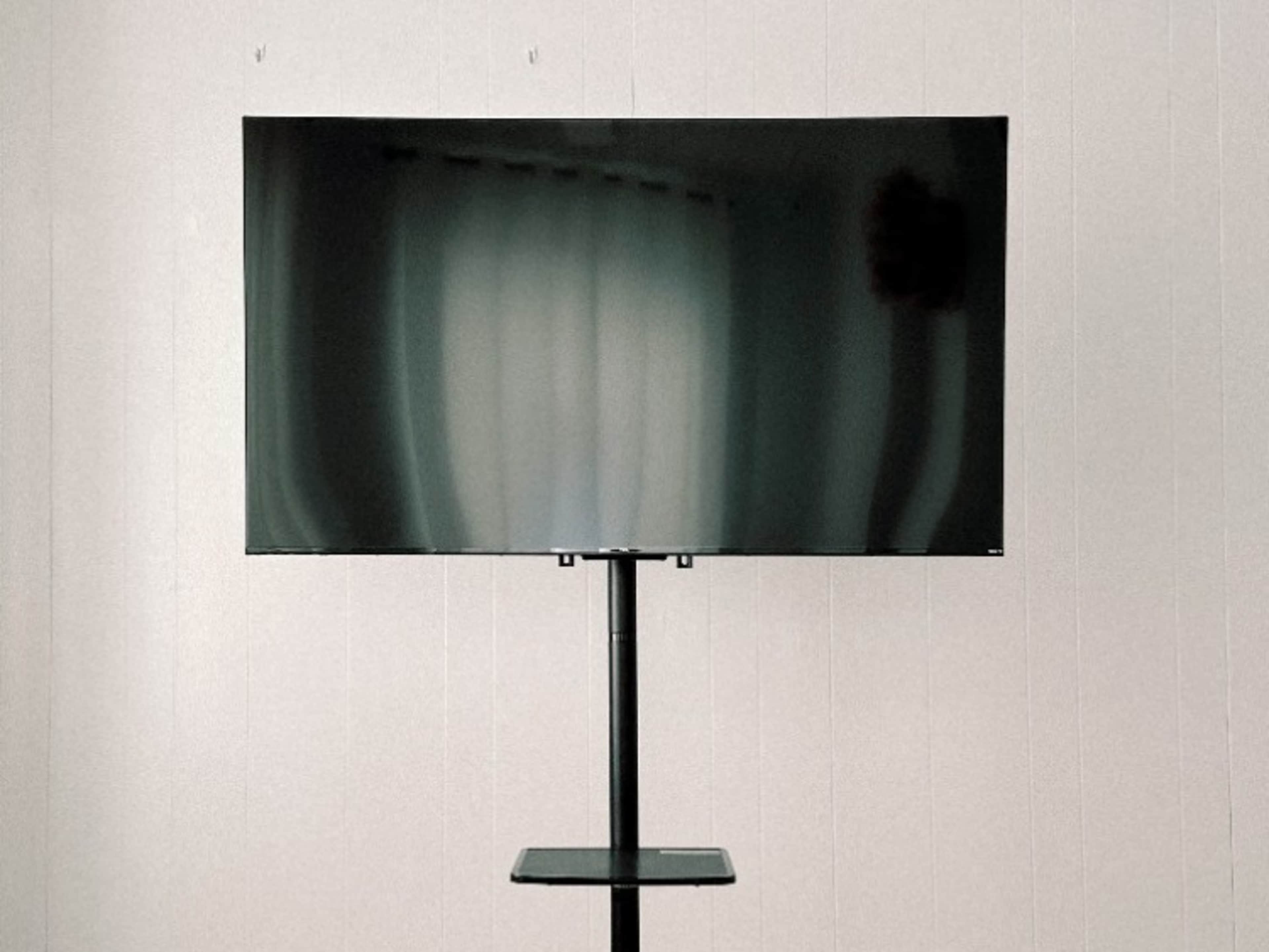 55" TV on Rolling Stand