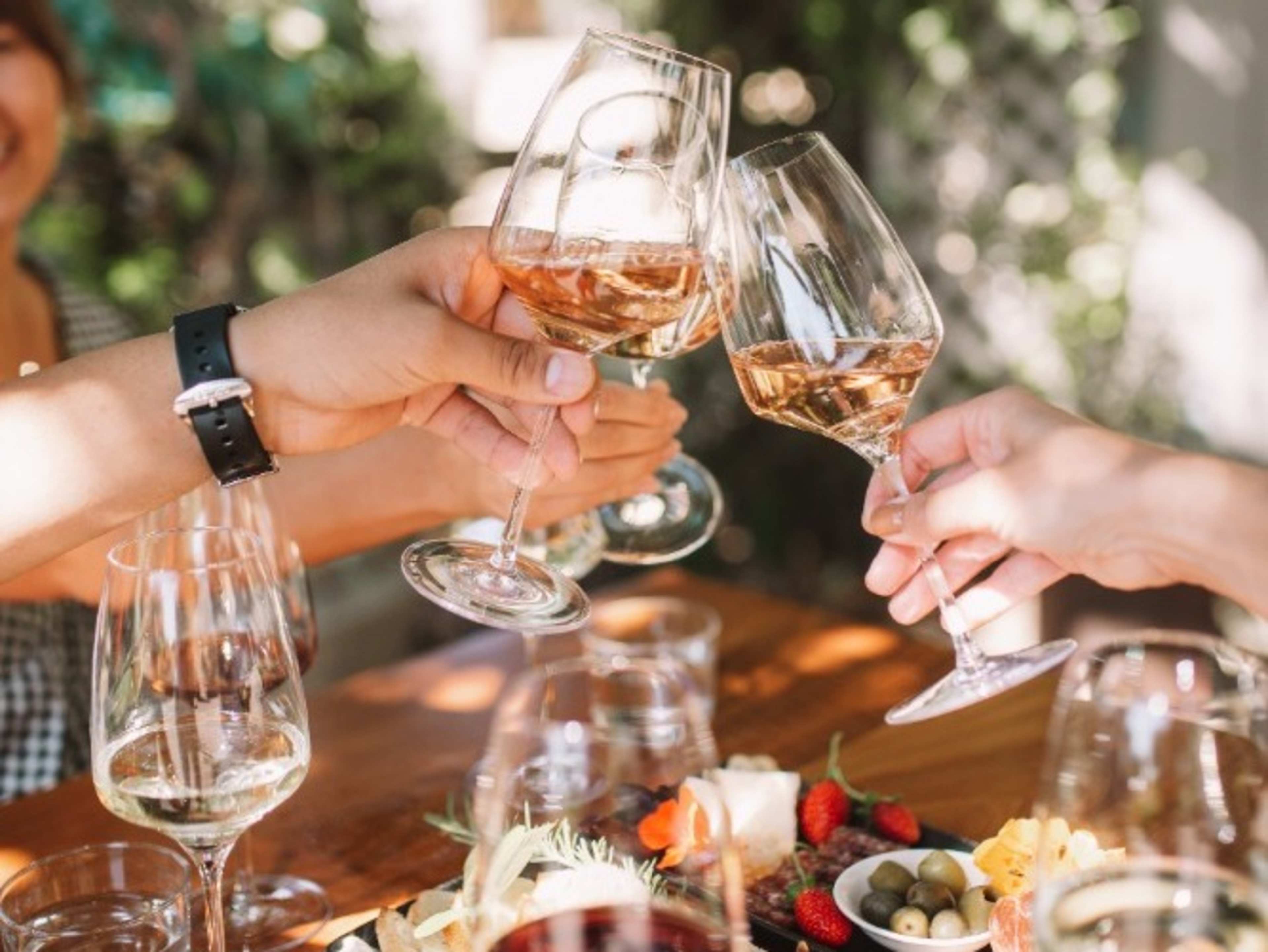 Wine Tasting Experience