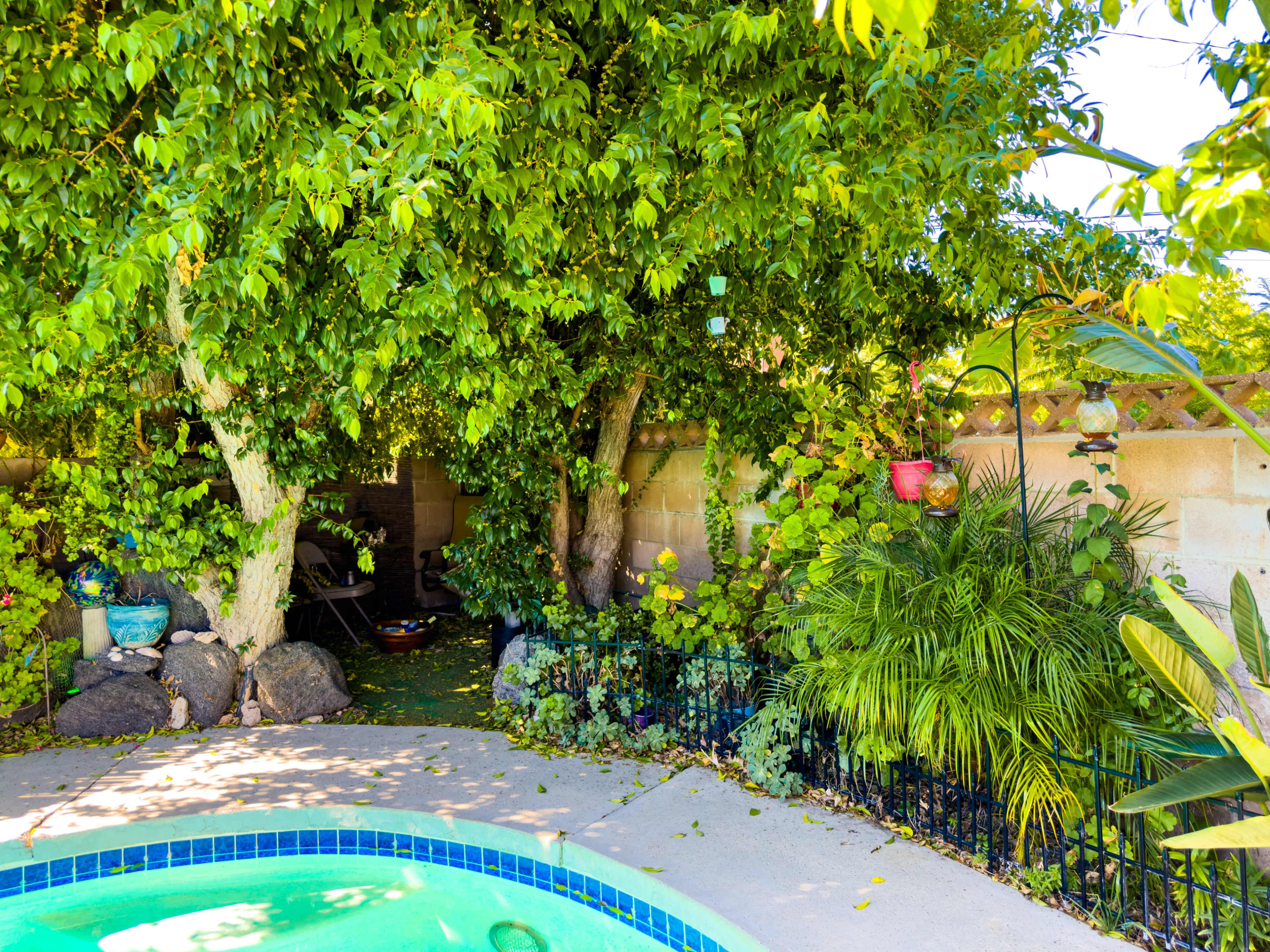 A green, lush backyard features a swimming pool surrounded by trees and decorative plants.