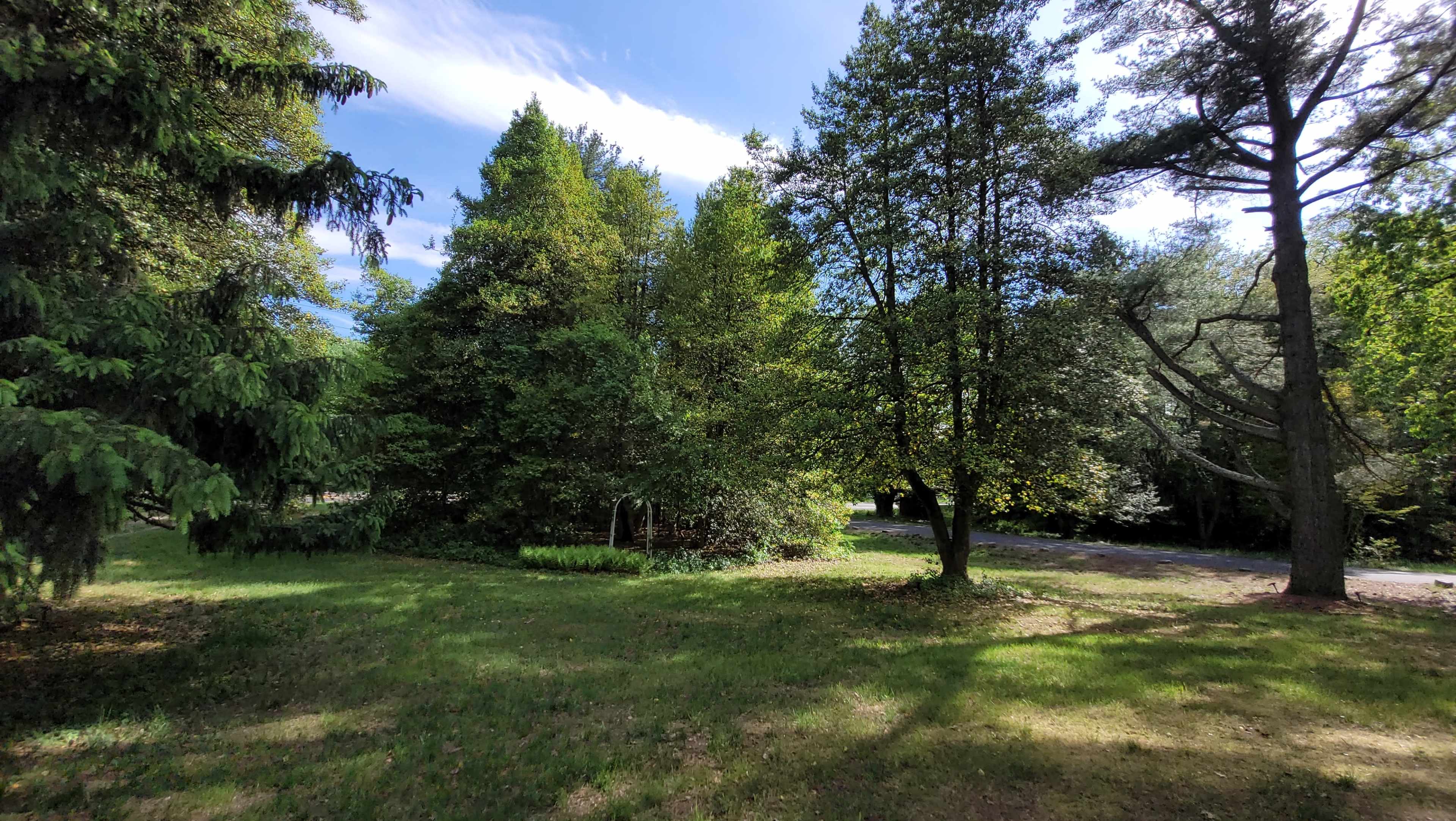 A grassy area with several trees and a road in the background under a partly cloudy sky.