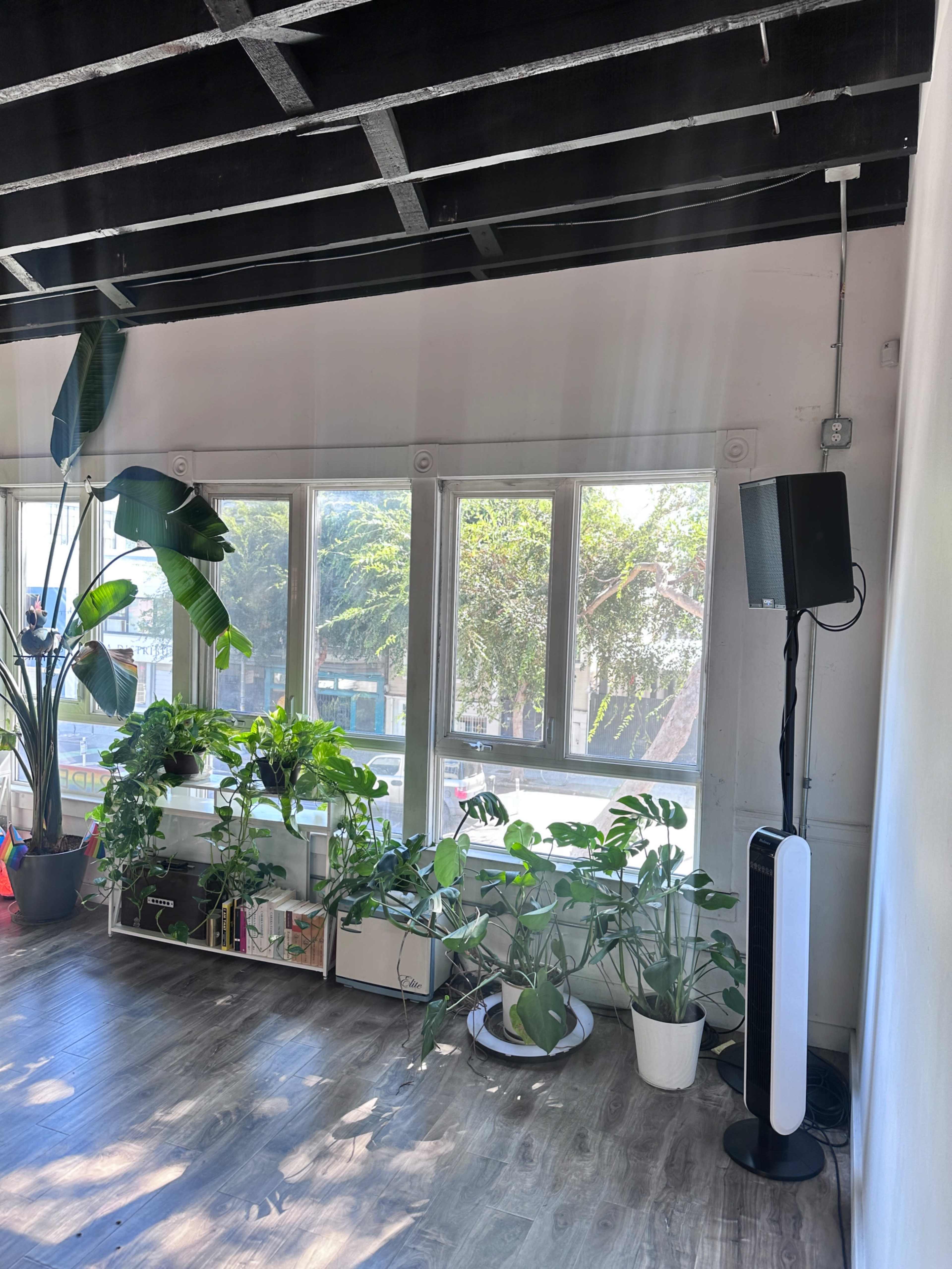 A bright room features large windows with plants lining the shelves and a speaker on a stand in the corner.