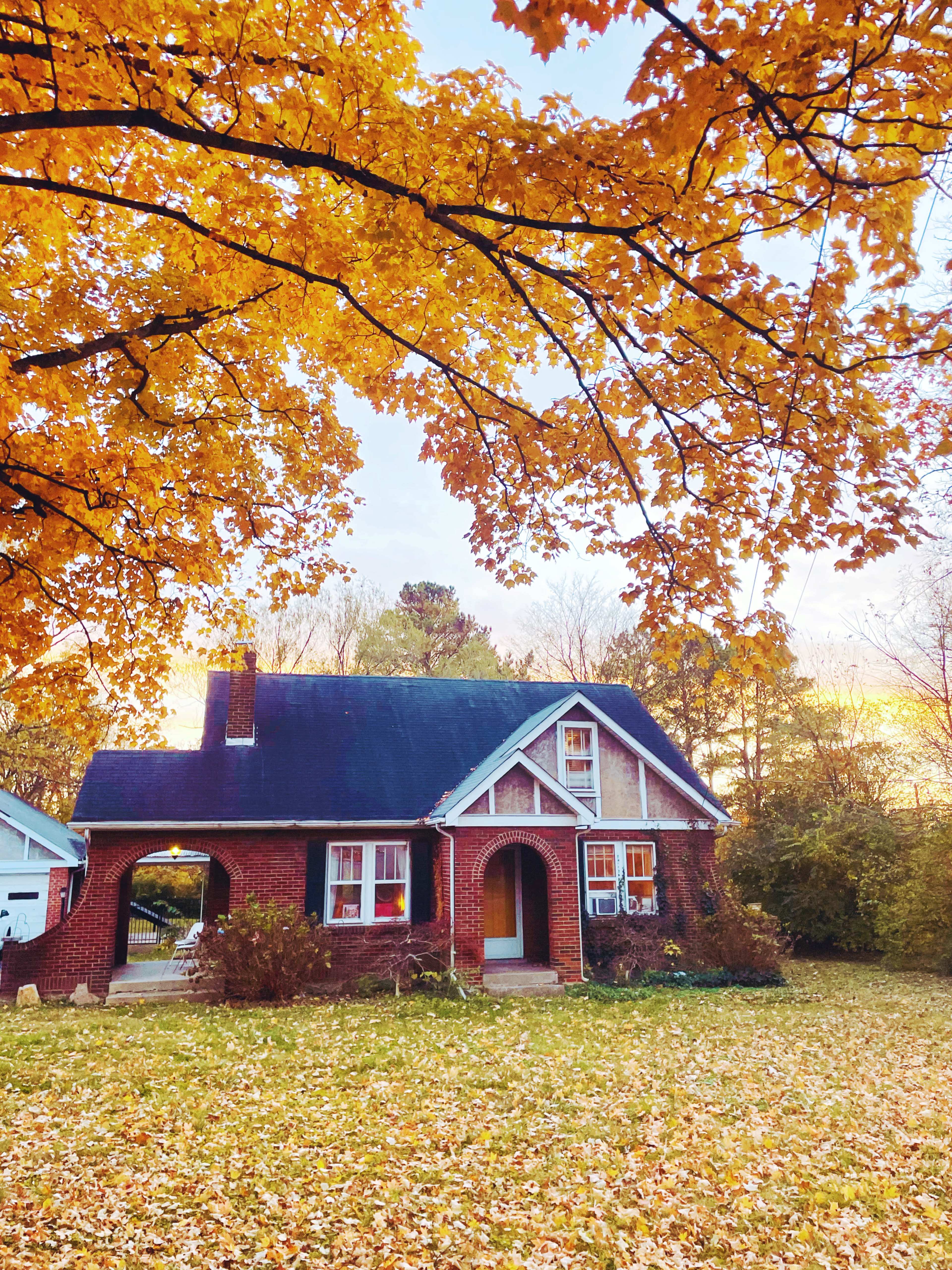 A brick house with a sloped roof sits in a yard covered in fallen autumn leaves under a vibrant orange sky.