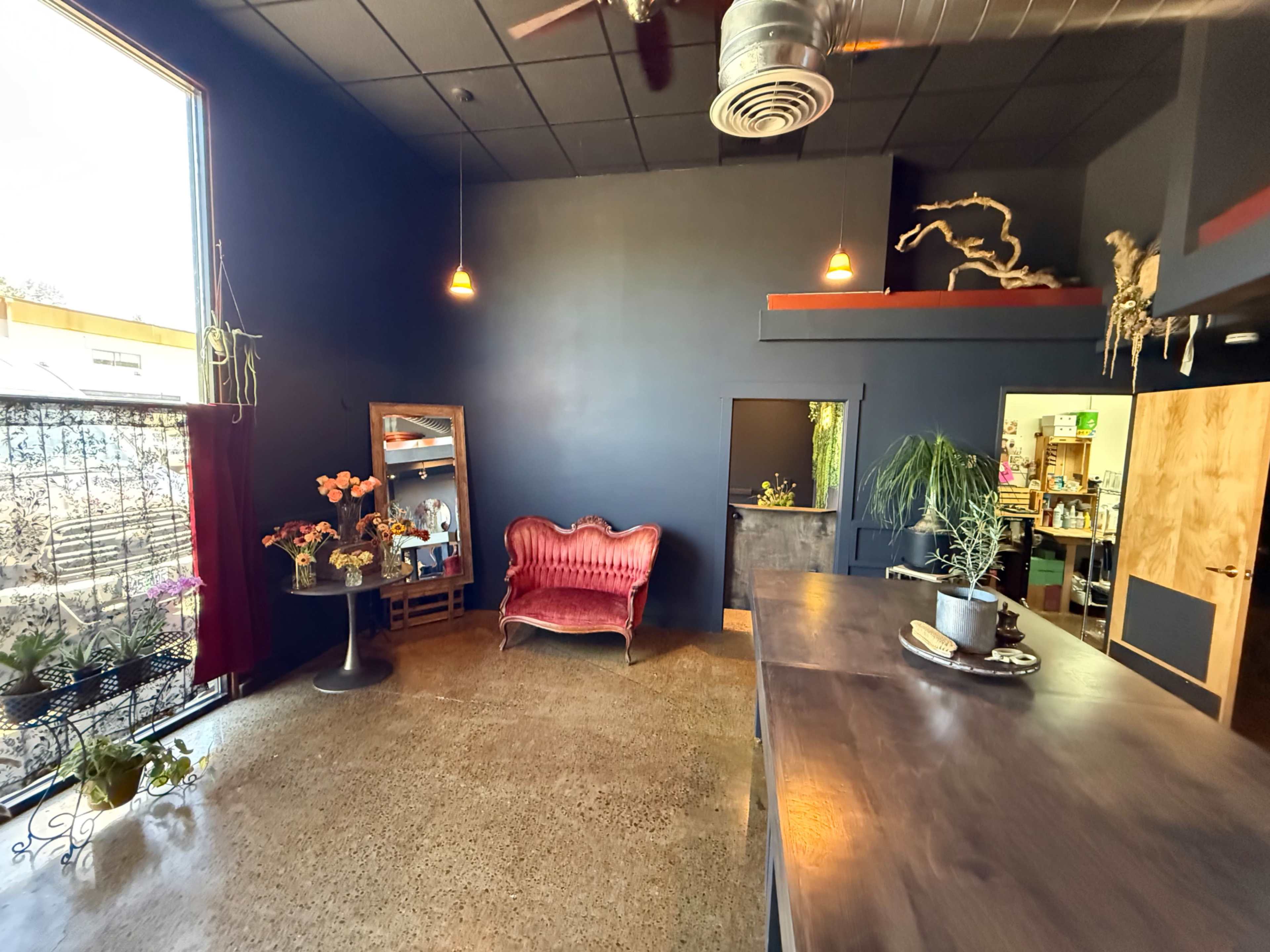 A modern interior space features a red velvet sofa, dark walls, and a counter with plants and decor, illuminated by pendant lights.
