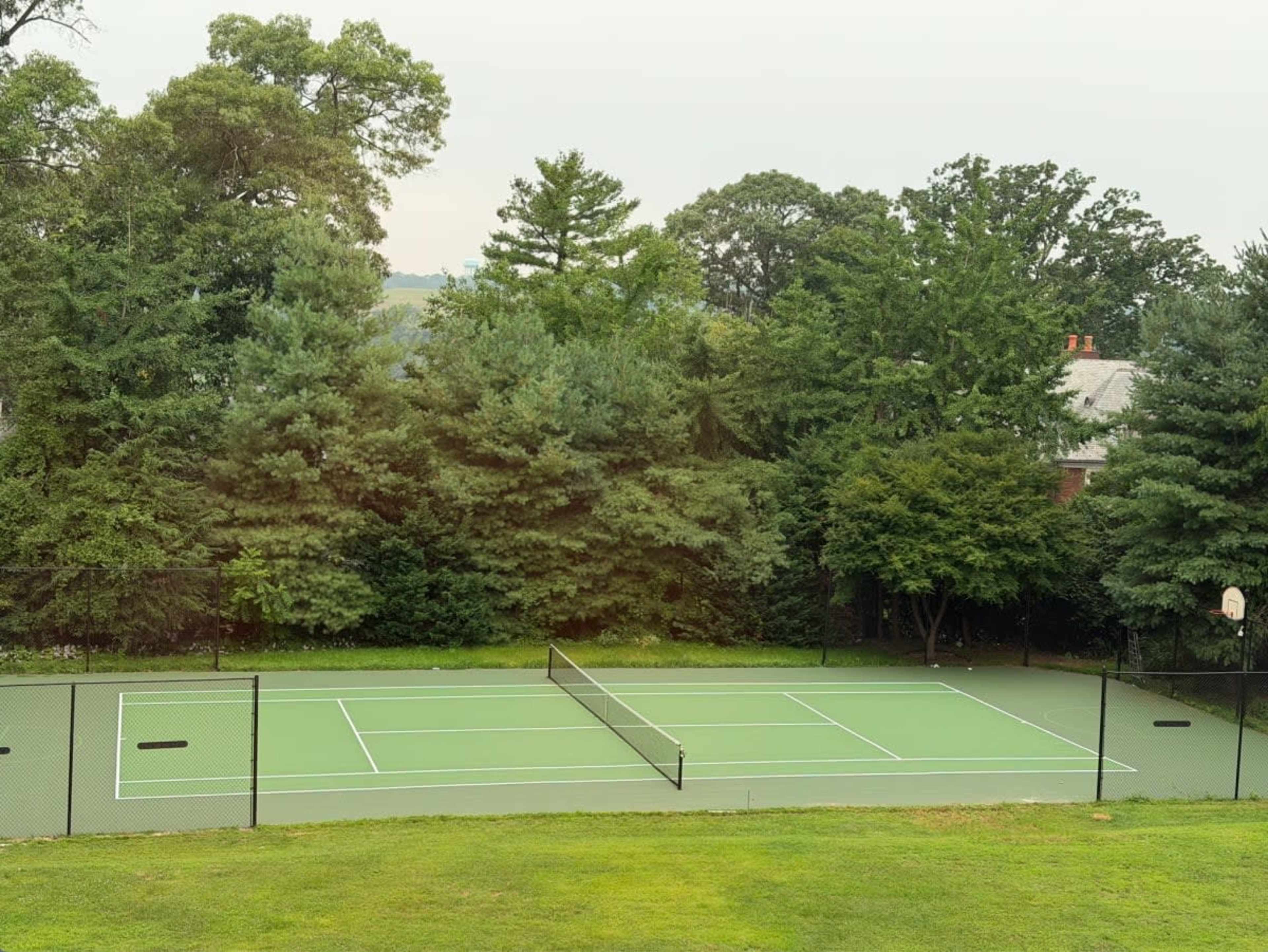 The image shows a vacant tennis court surrounded by greenery and a few trees in the background.