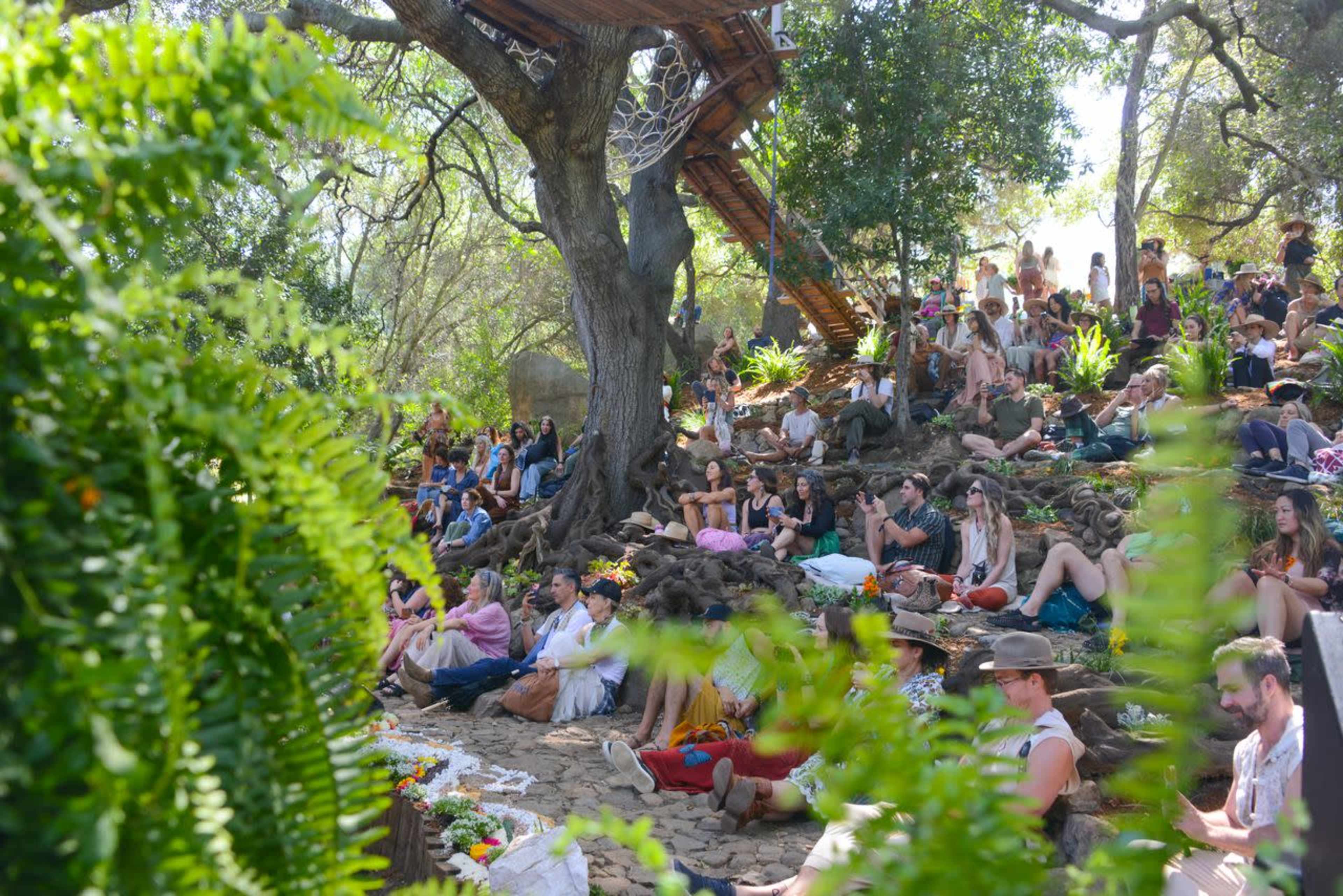 A large group of people sits on the ground in a wooded area, surrounded by trees and ferns, with a wooden structure elevated above them.
