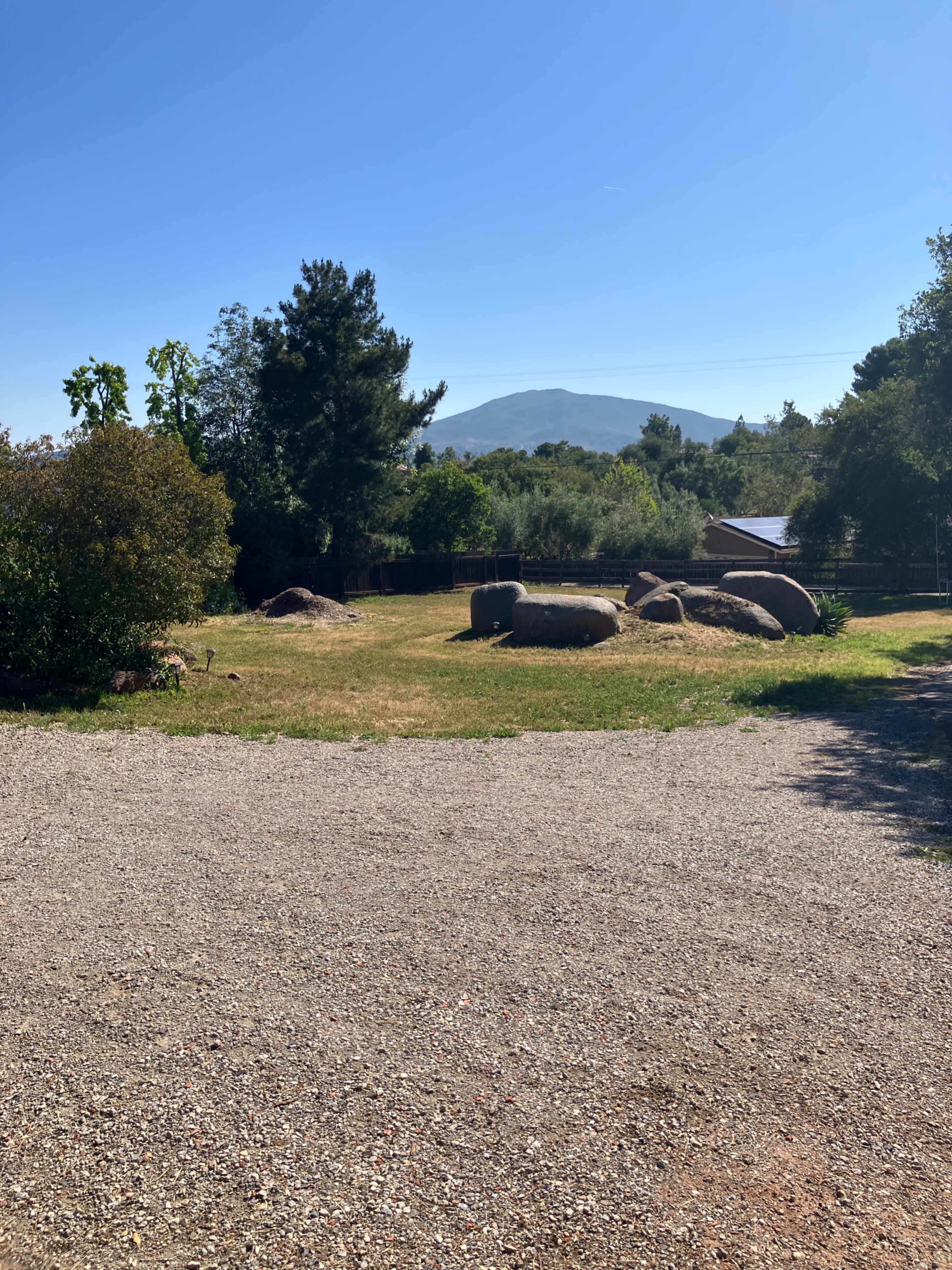 The image shows a grassy area with scattered rocks and trees, set against a backdrop of a distant mountain and clear blue sky.