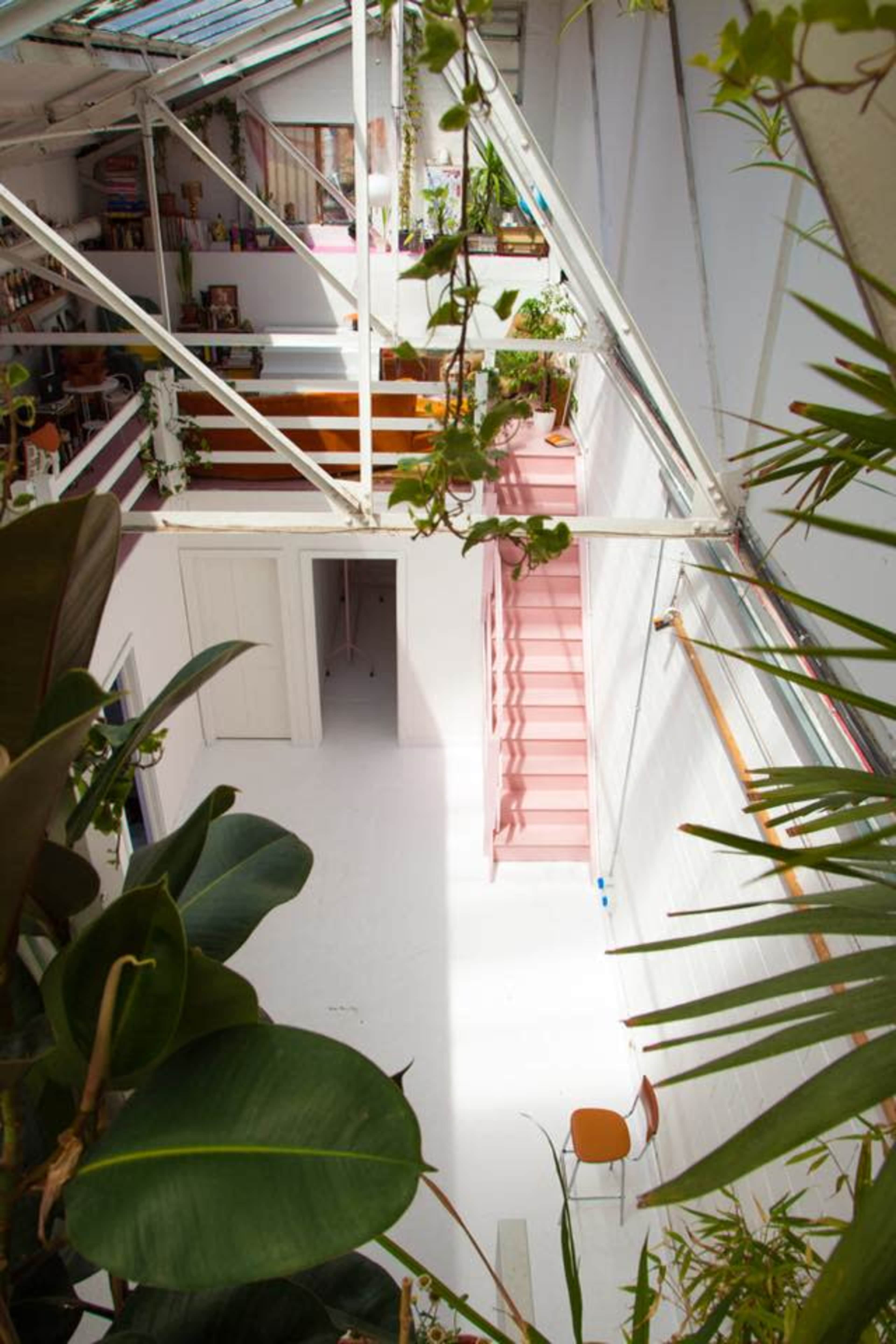 A spacious, bright interior with a staircase and various plants in a well-lit area.