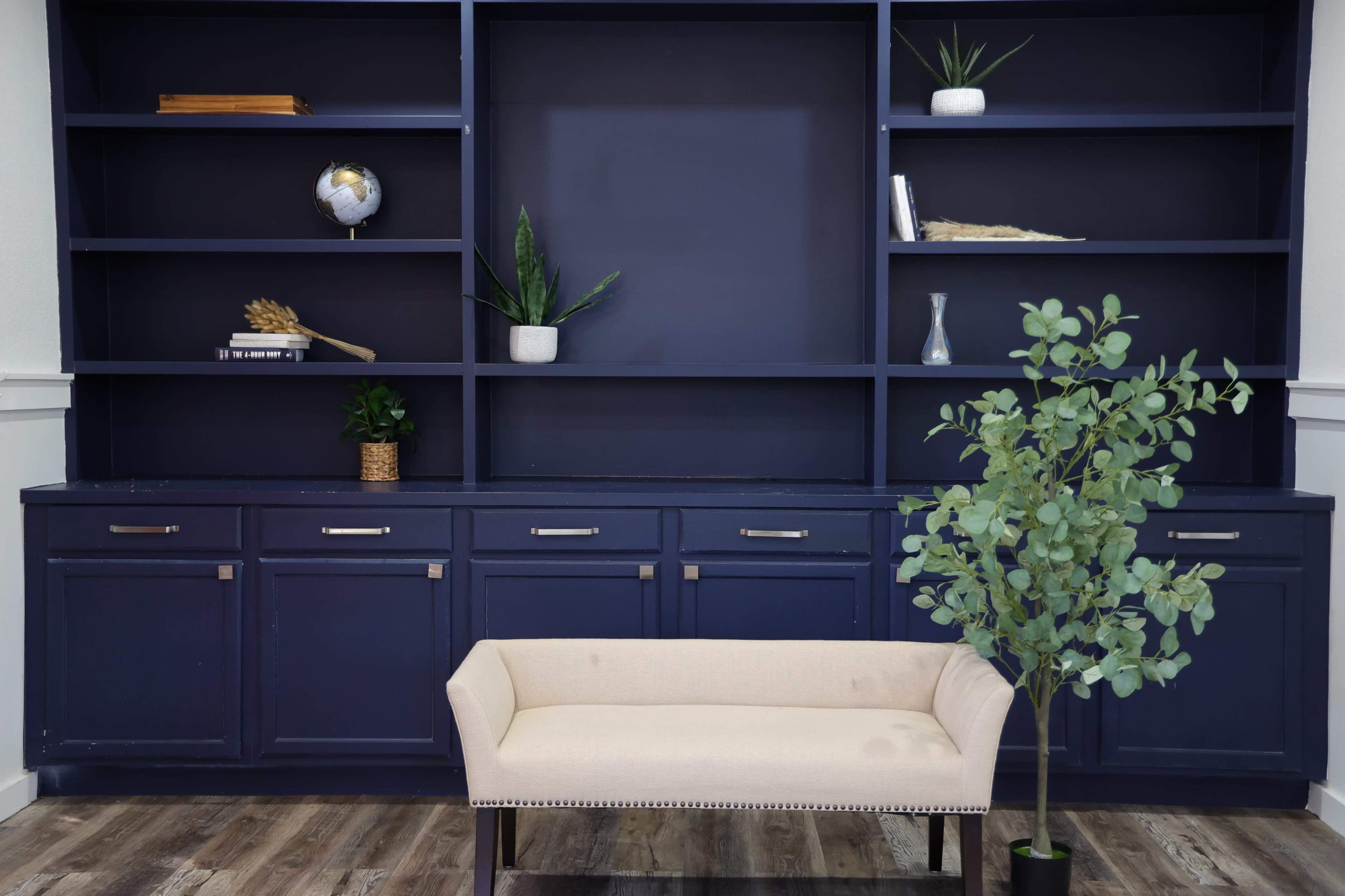 A light-colored sofa is positioned in front of a dark blue shelving unit displaying decorative plants and objects.