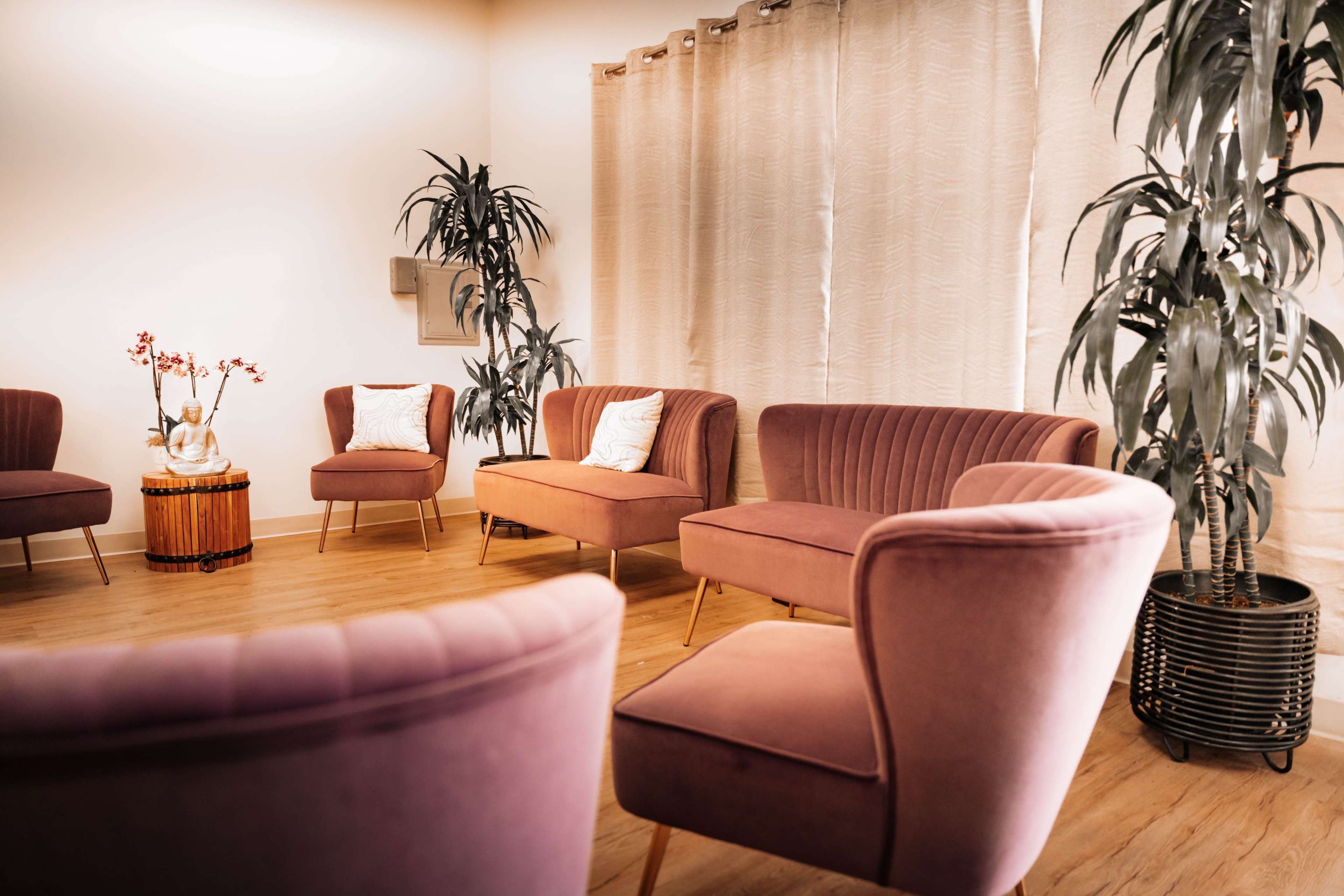 A cozy waiting area furnished with pink upholstered chairs, a small round table, and indoor plants, all set against light-colored walls and curtains.