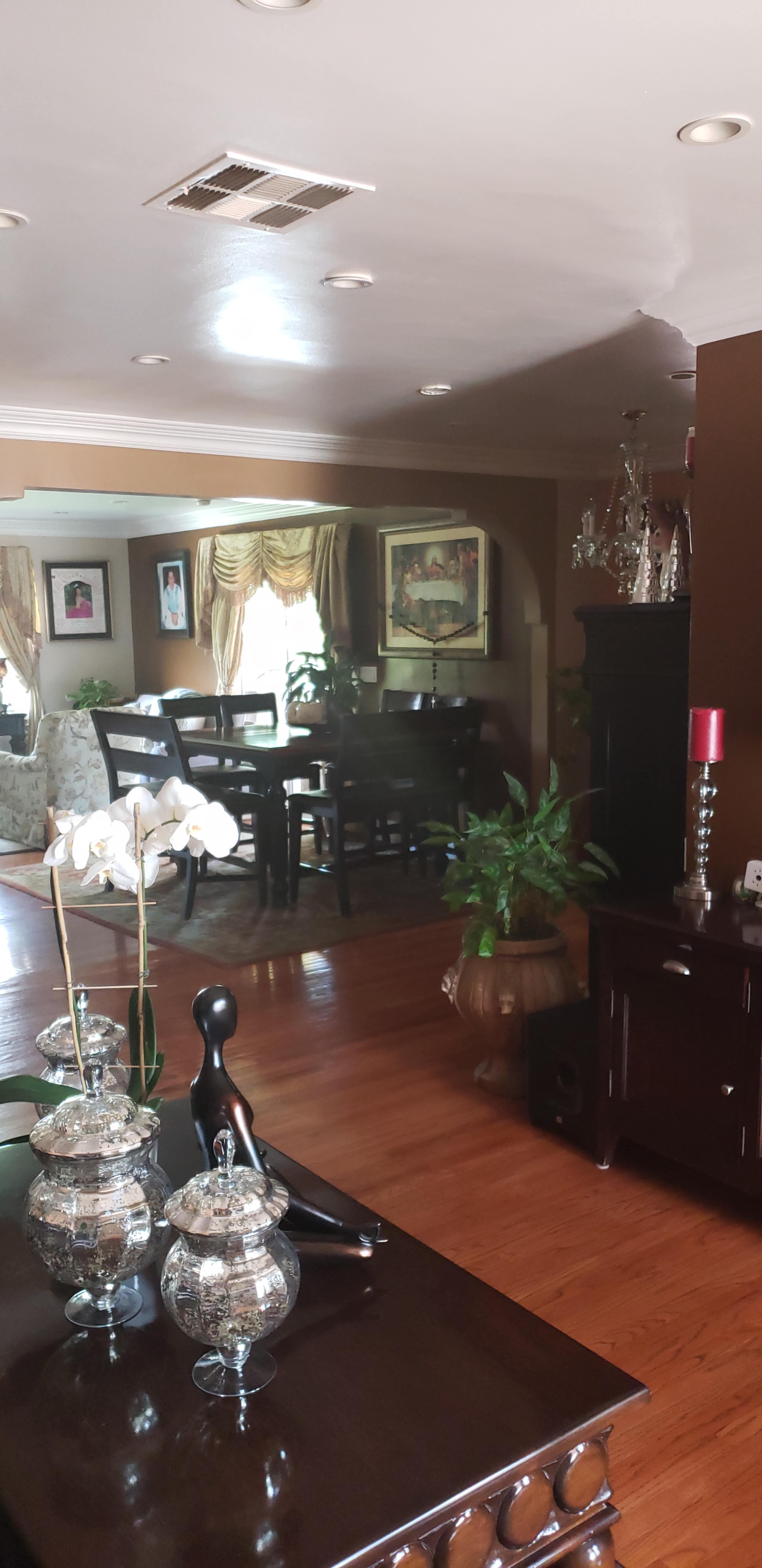 A spacious living area featuring a dining table, decorative plants, and various pieces of furniture.