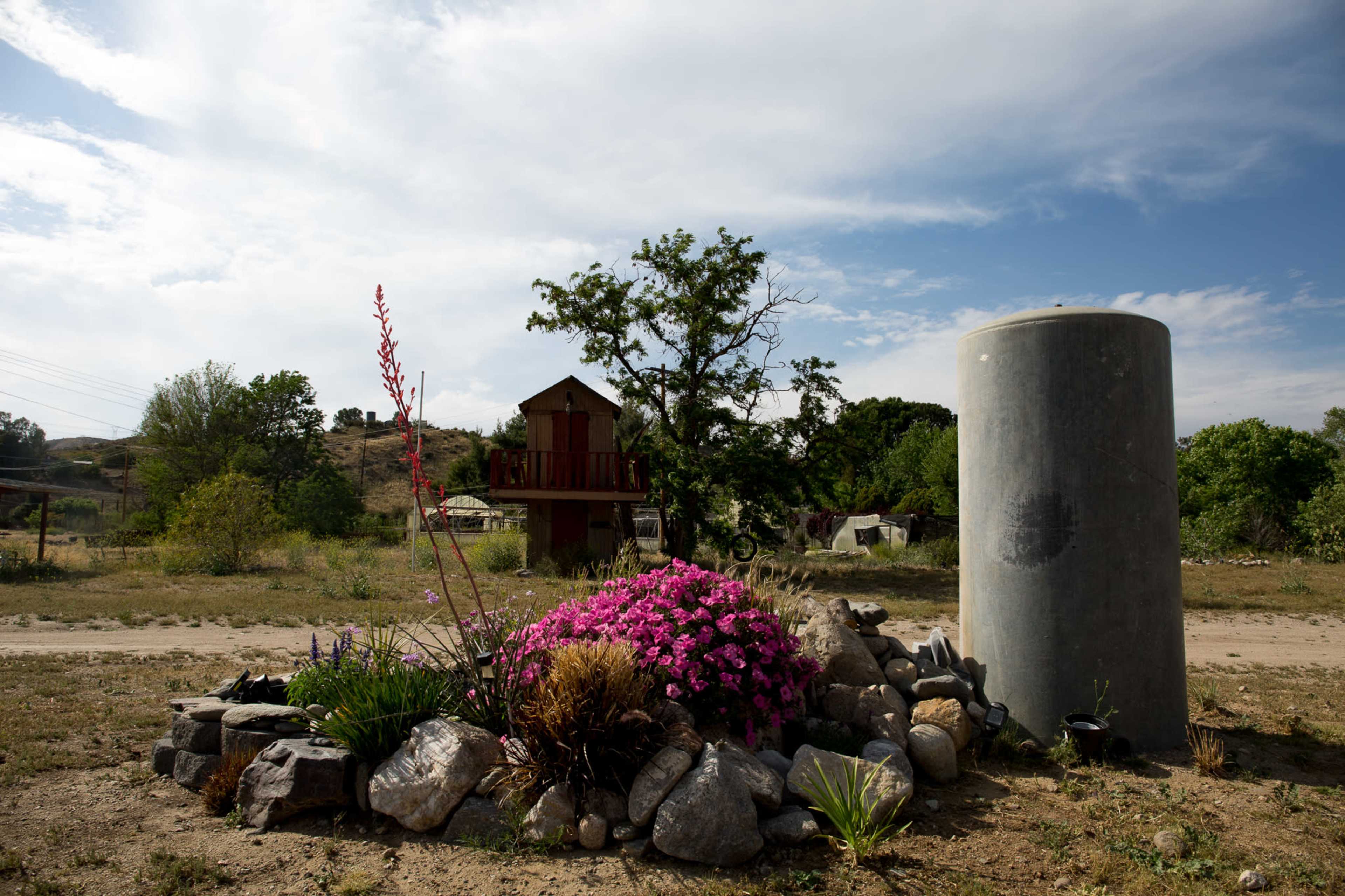 A flowerbed with purple flowers and rocks stands in front of a tree and a wooden playhouse on a rural landscape.