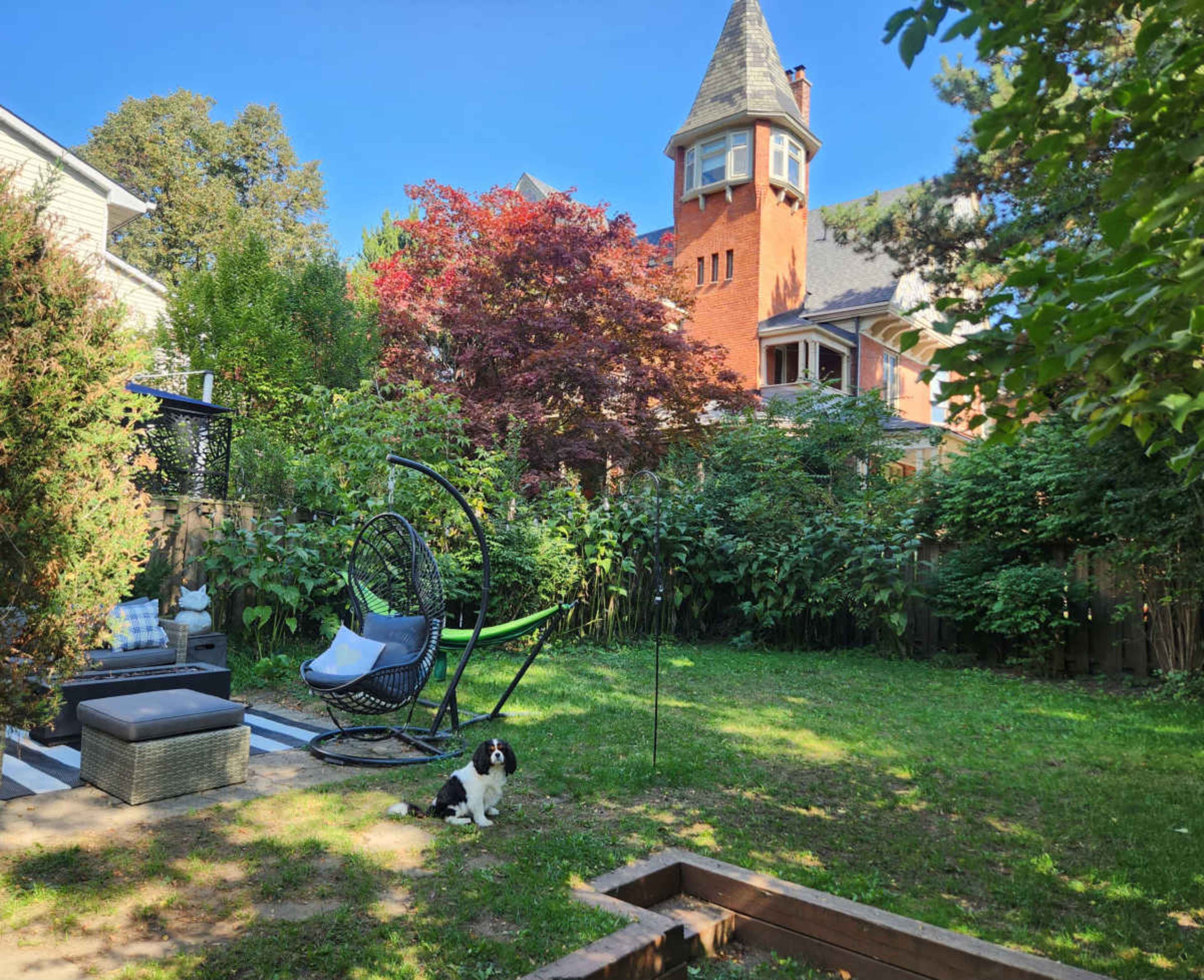 The image shows a backyard with a circular hanging chair, a small black and white dog, and a red-leaved tree, with a tall brick house in the background.