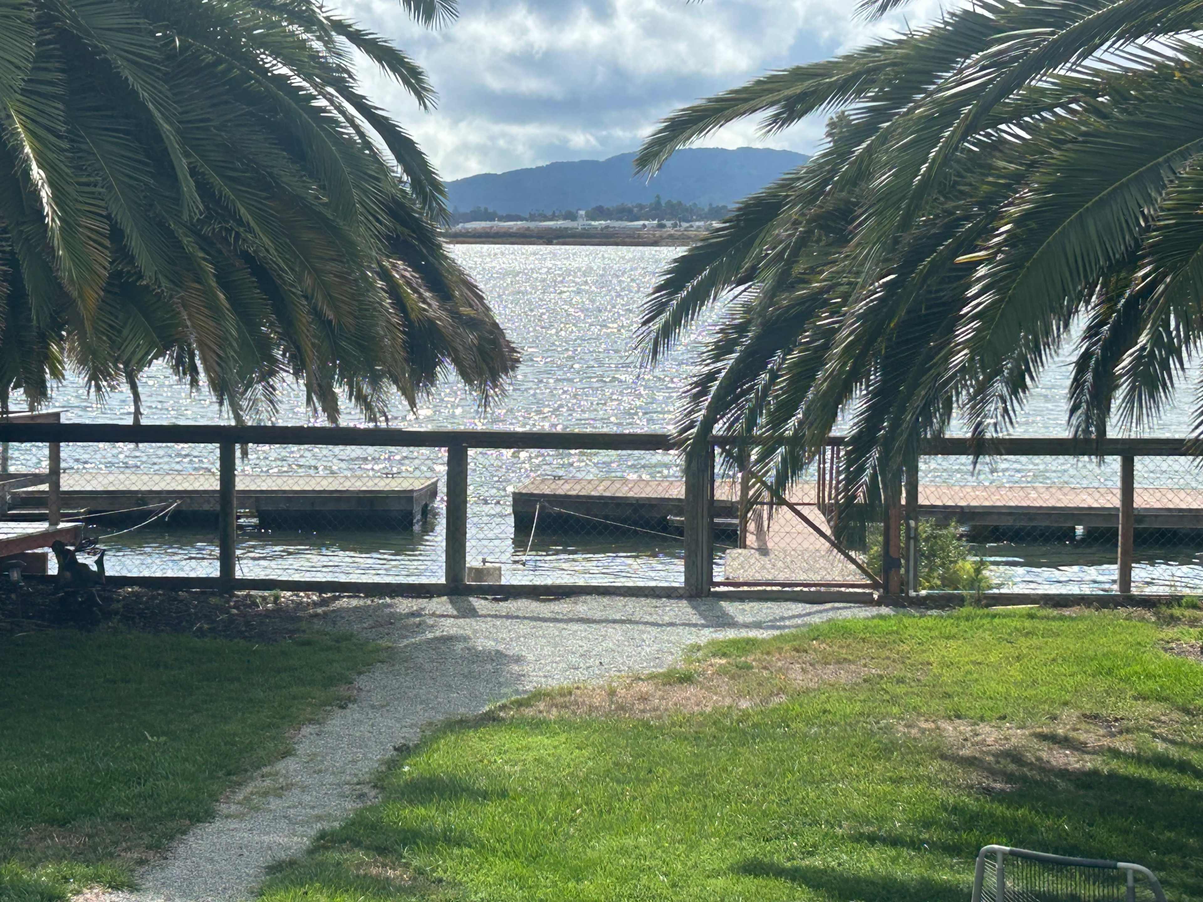 The image shows a grassy area bordered by palm trees overlooking a body of water, with wooden docks visible in the distance.