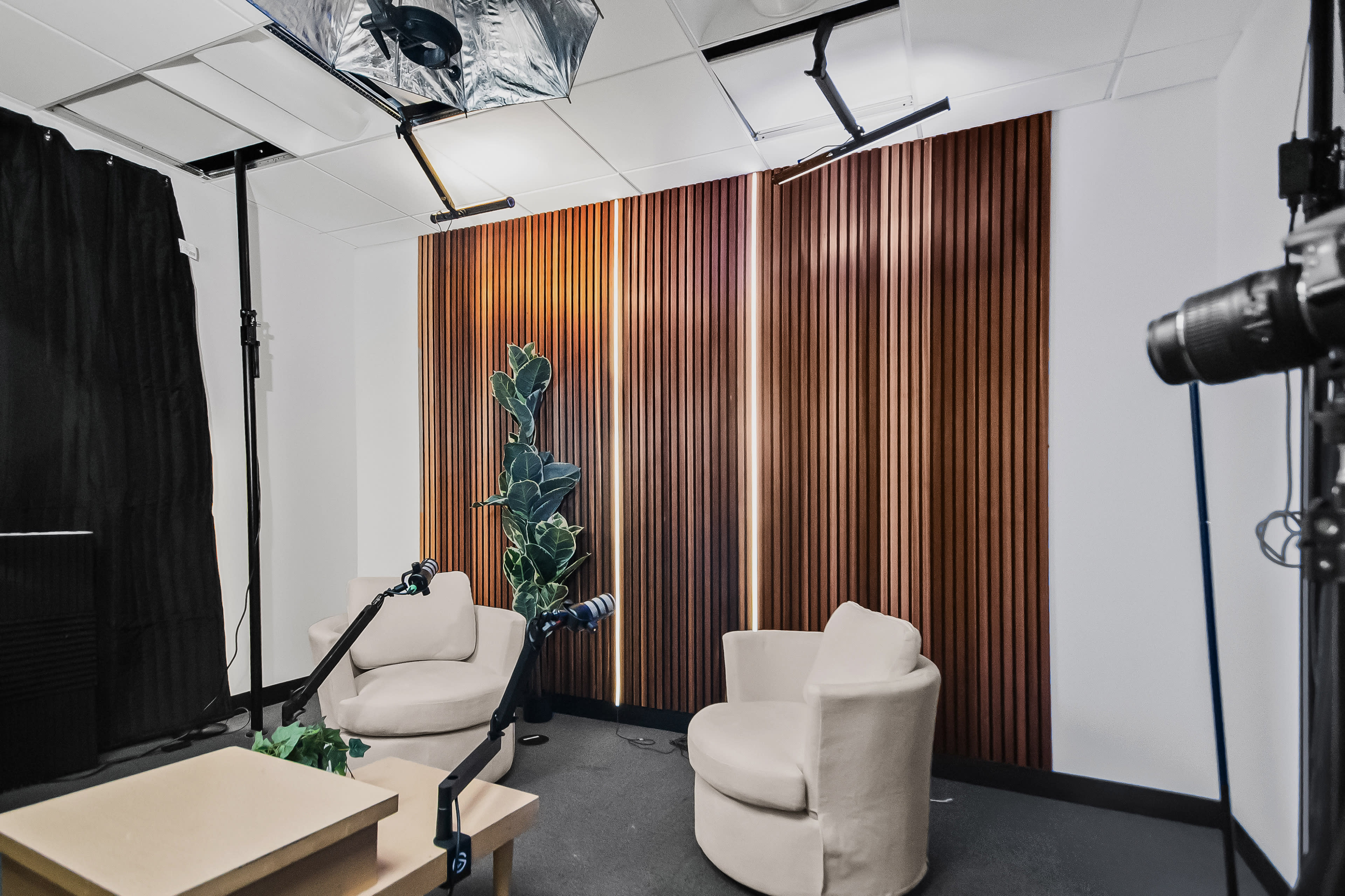 The image shows a modern recording studio featuring two light-colored chairs, a small table, and wooden-paneled walls, with plants and microphones positioned for a discussion or interview setting.
