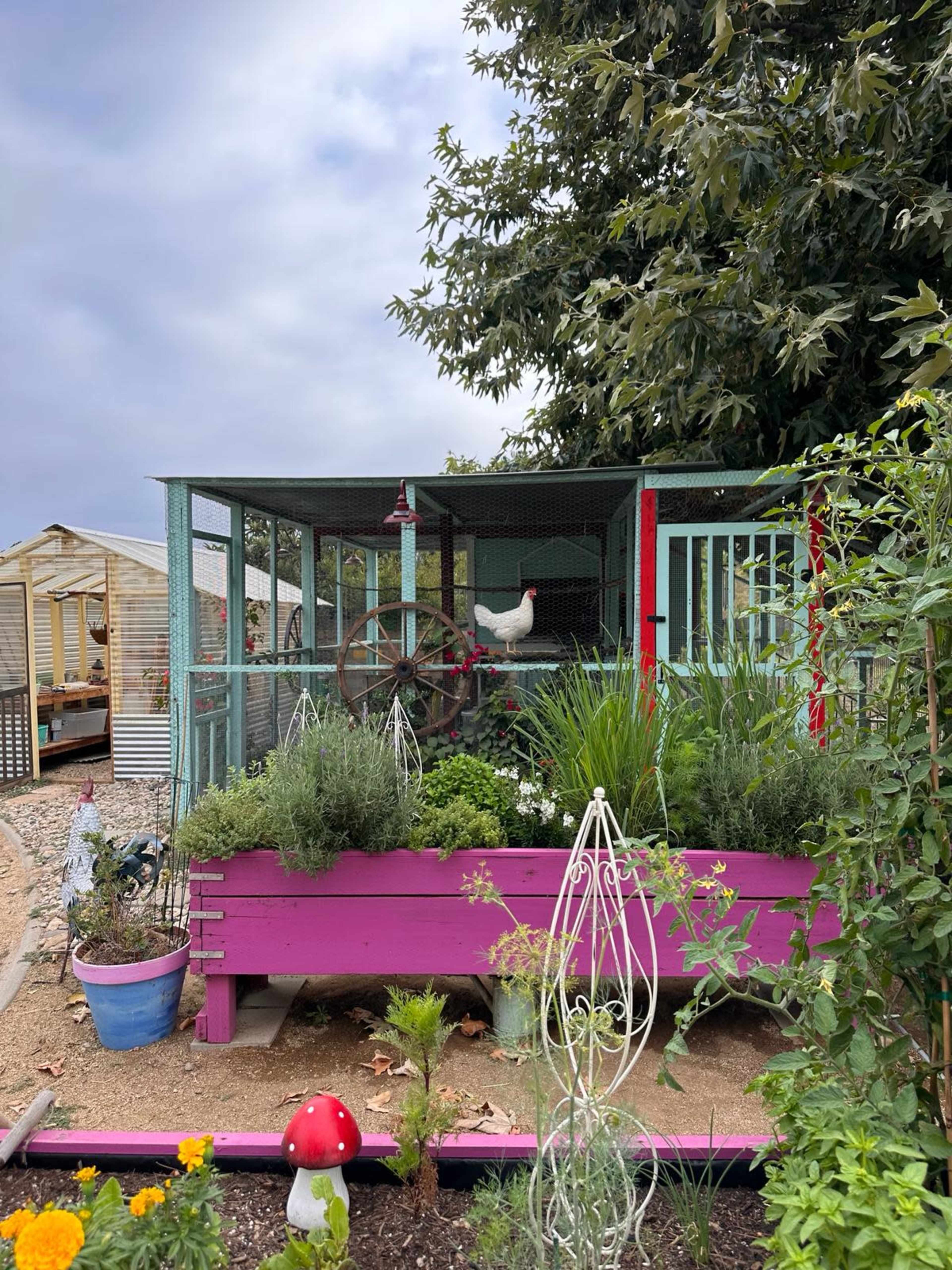 A chicken is housed in a colorful coop surrounded by various plants and flowers.