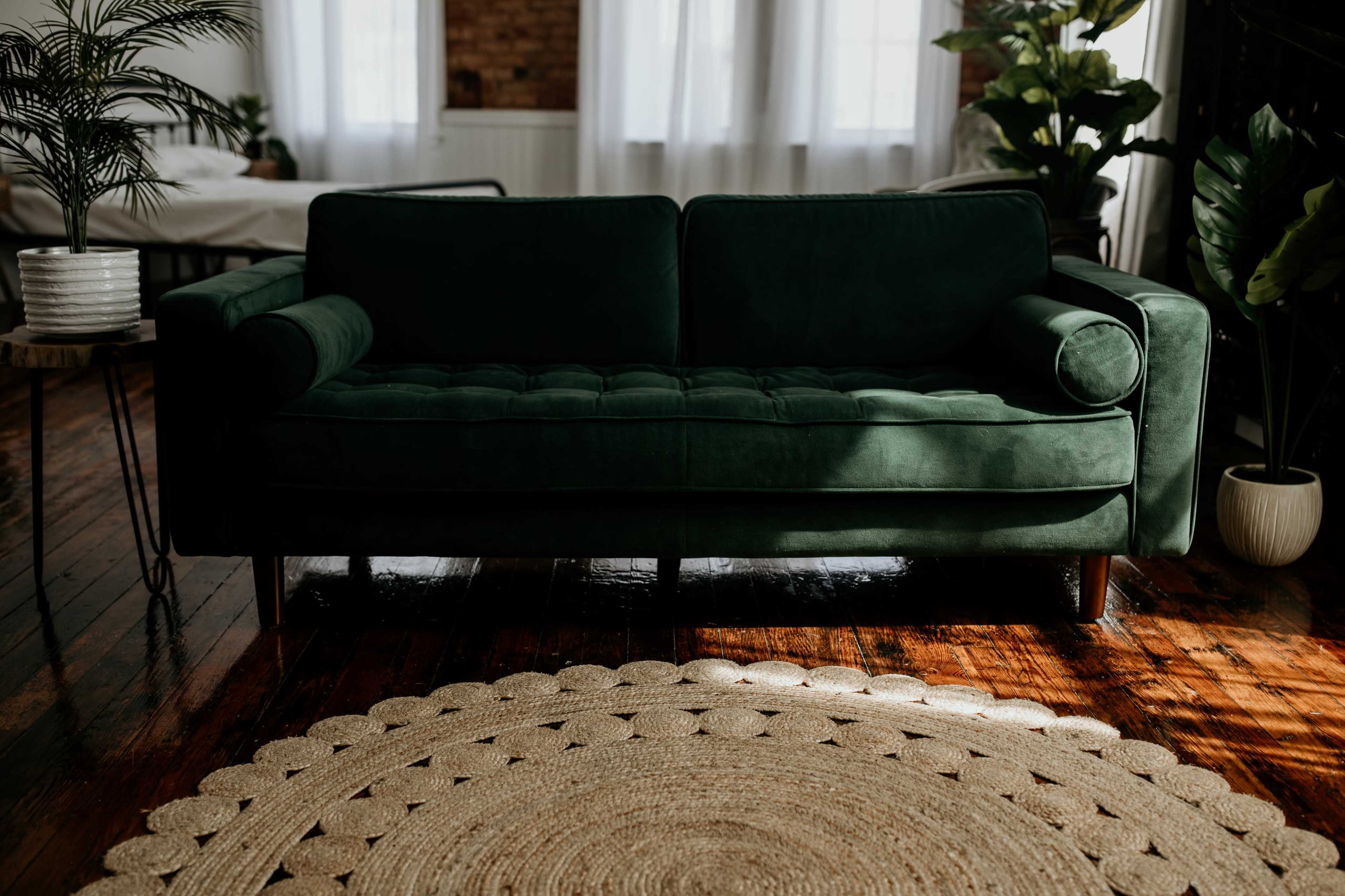 A green velvet sofa is positioned on a wooden floor, surrounded by plants and illuminated by natural light from nearby windows.