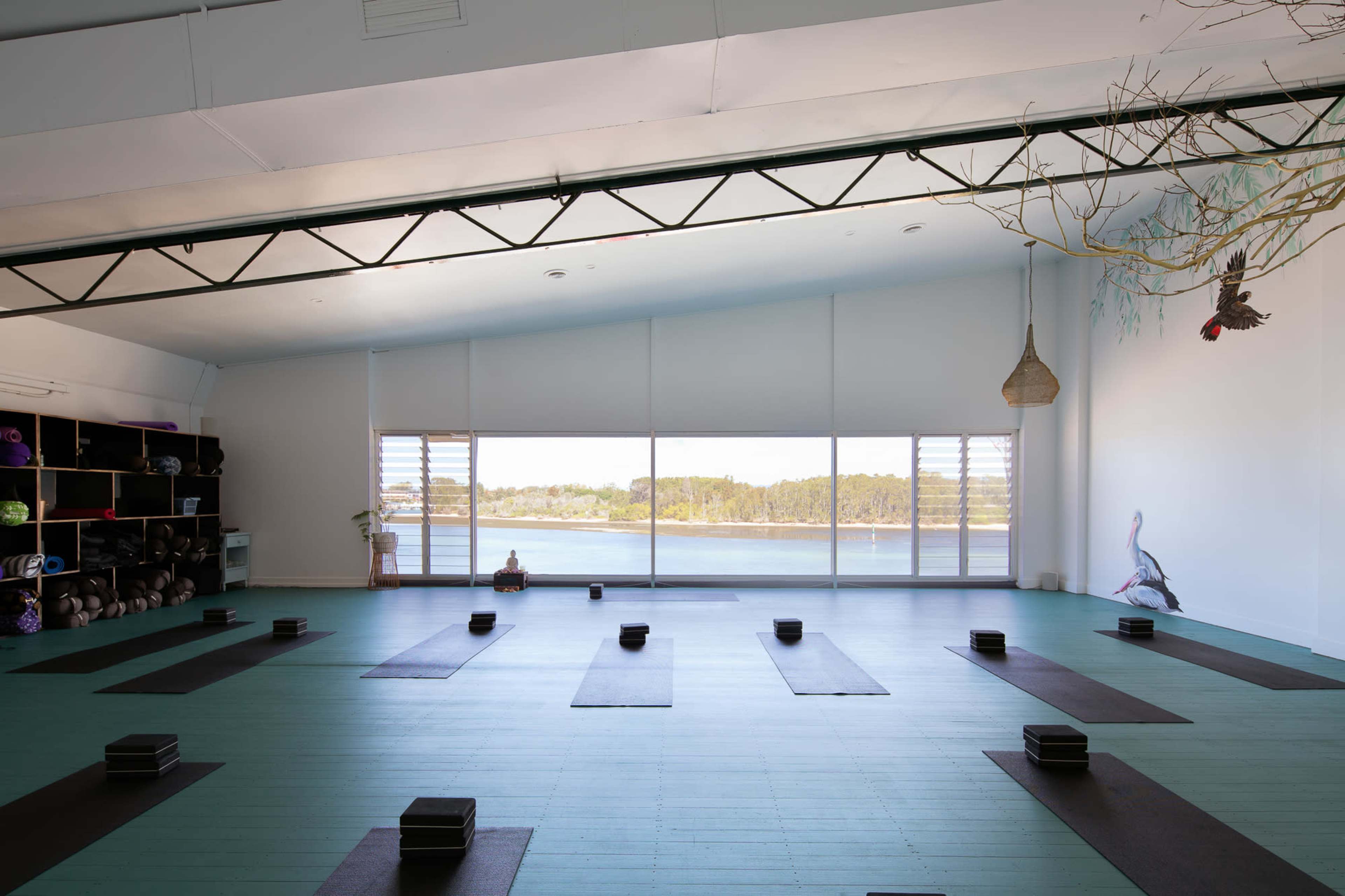 A spacious yoga studio with several yoga mats arranged in rows and large windows overlooking a serene landscape.