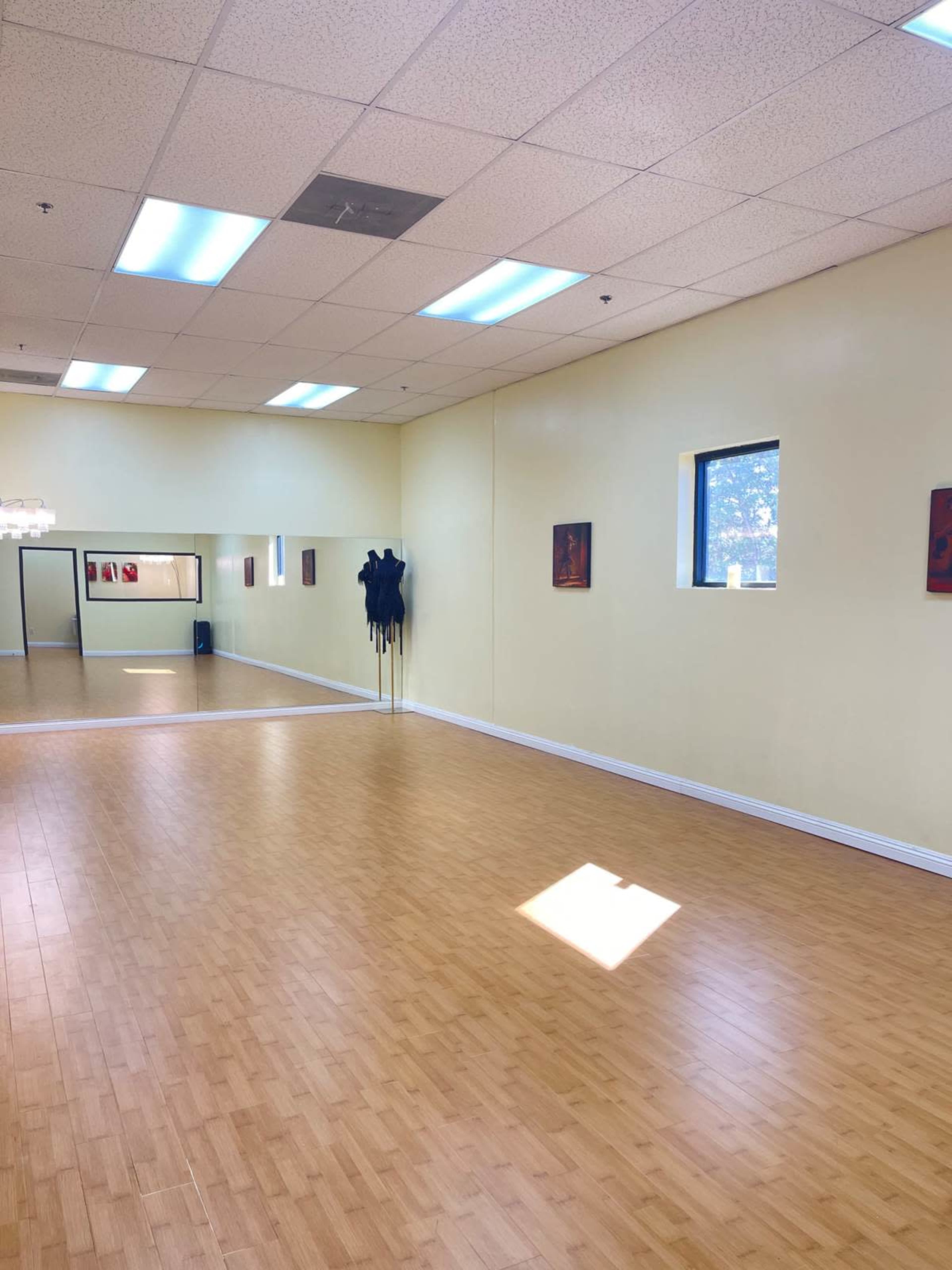 The image shows a spacious room with light wooden flooring, yellow walls, and large windows allowing natural light to enter.