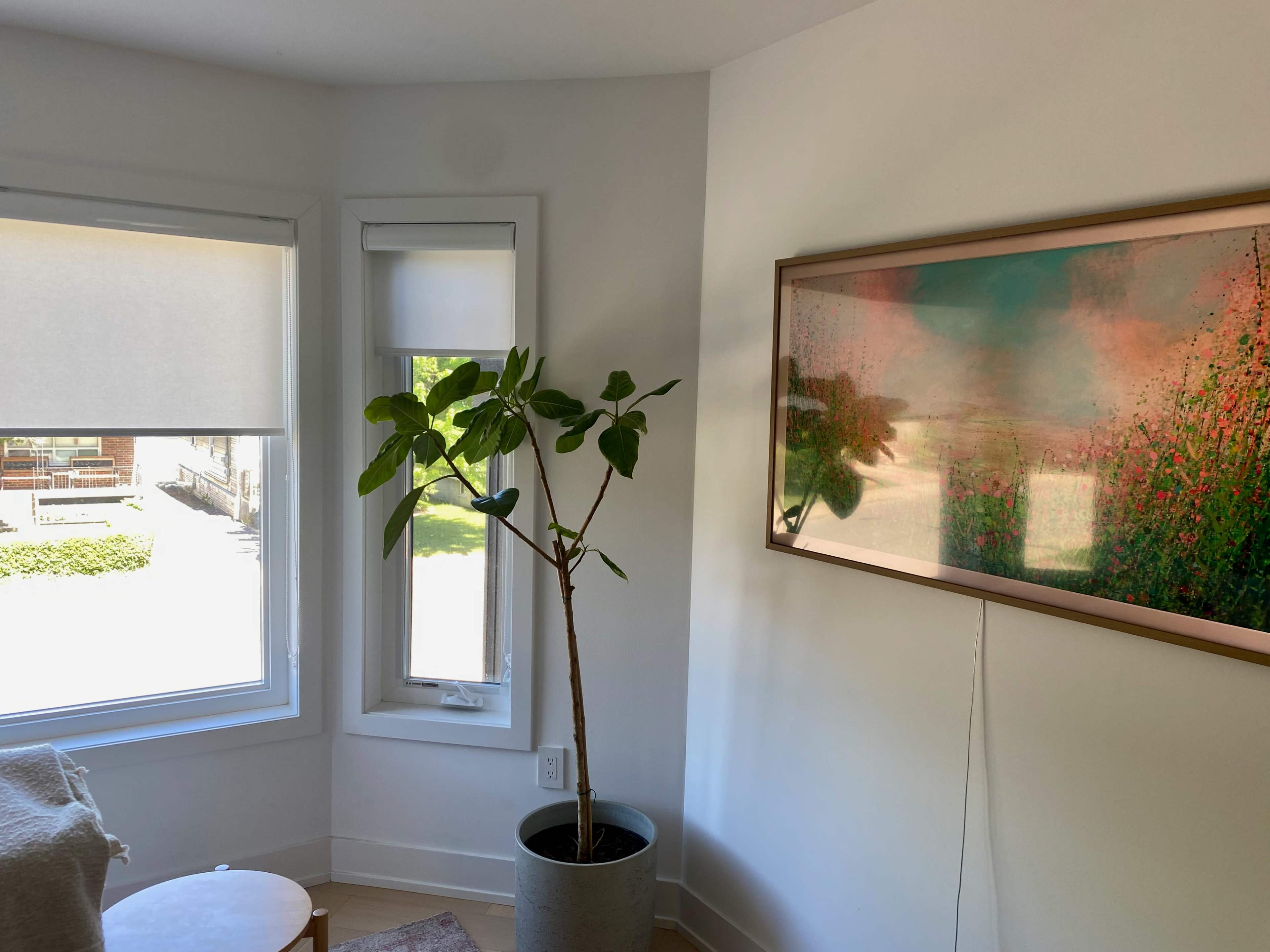 A potted plant stands in a corner of a room next to a window, with a colorful painting hanging on the wall nearby.