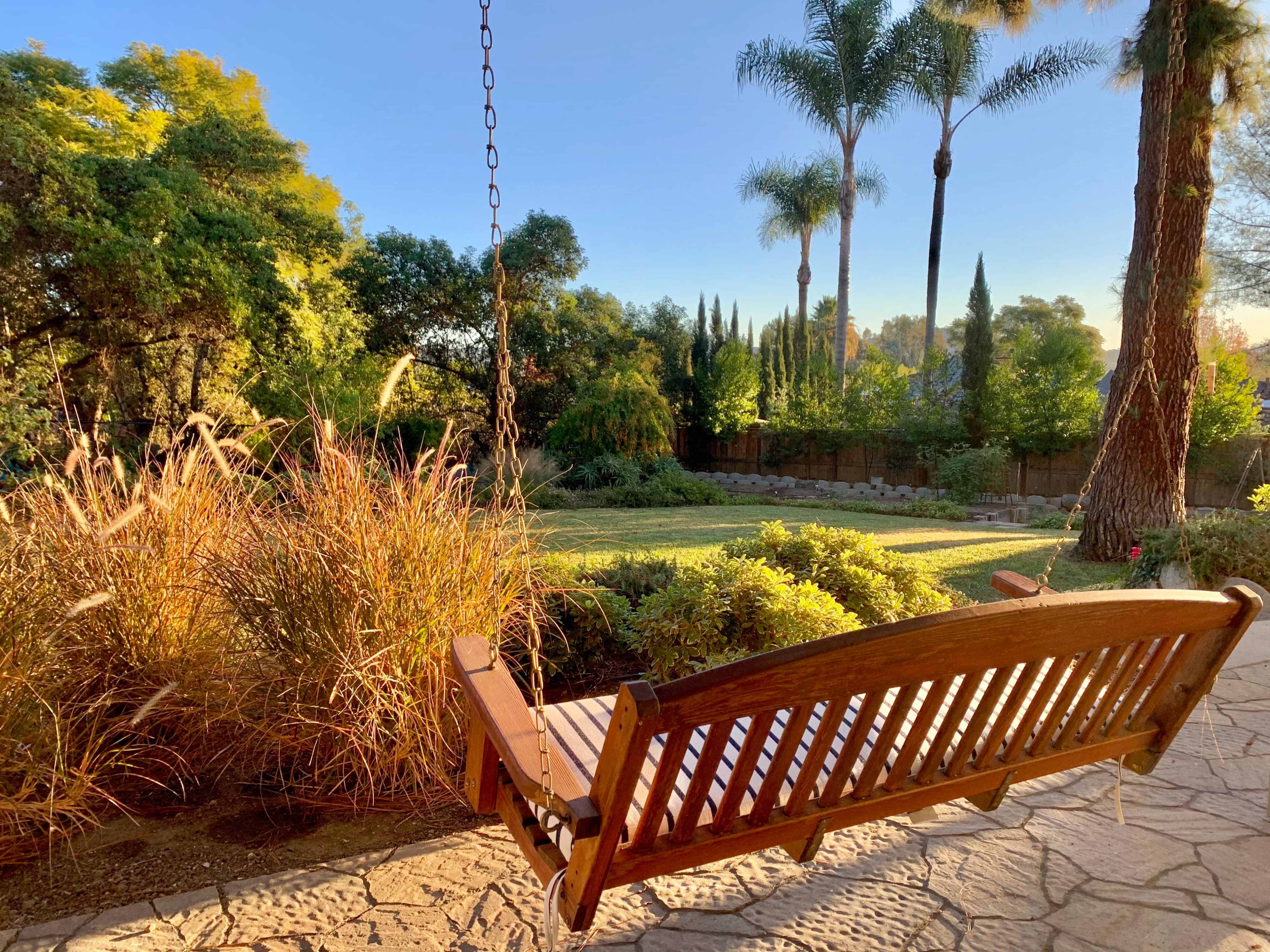 A wooden swing bench hangs from a tree, facing a landscaped garden with tall grasses and palm trees under a clear blue sky.