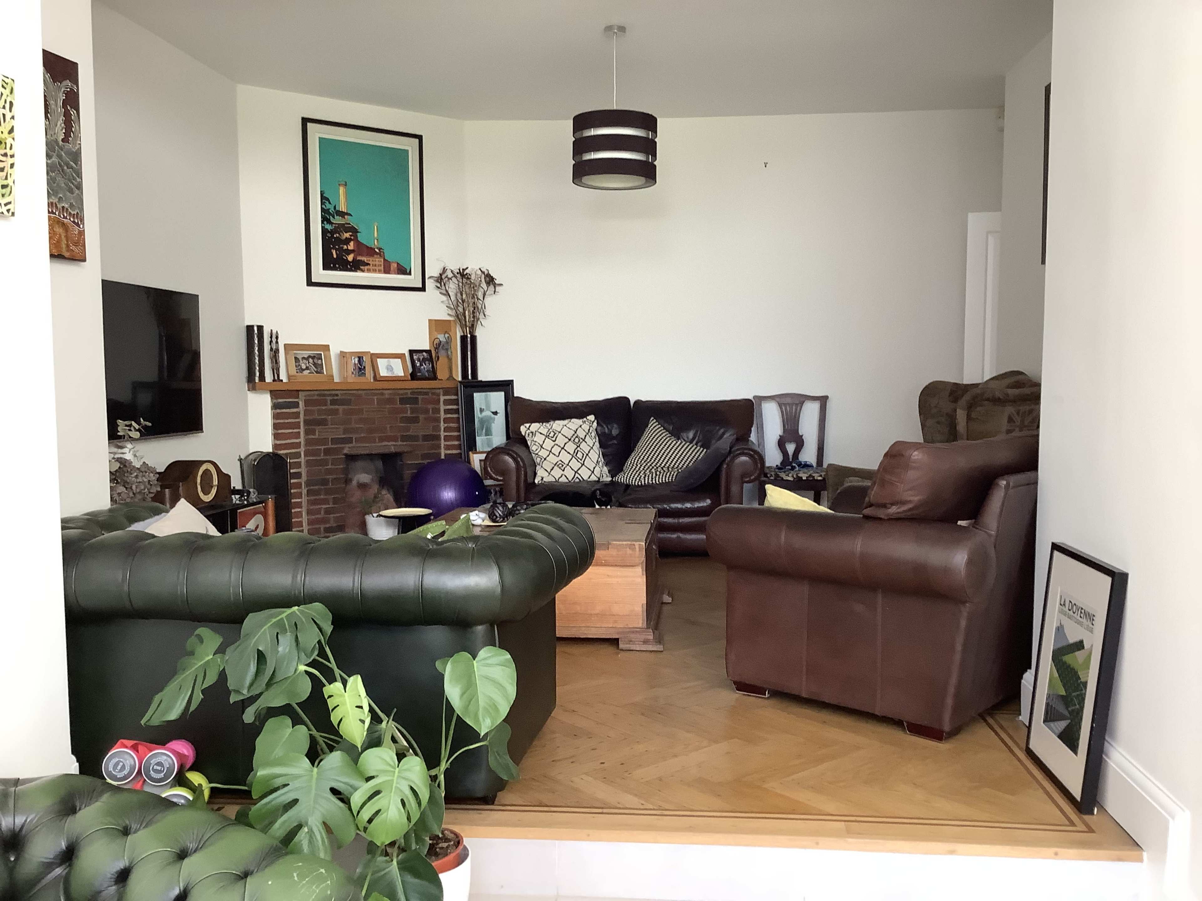 The room features a mix of leather sofas, a wooden coffee table, and a potted plant, arranged around a brick fireplace.