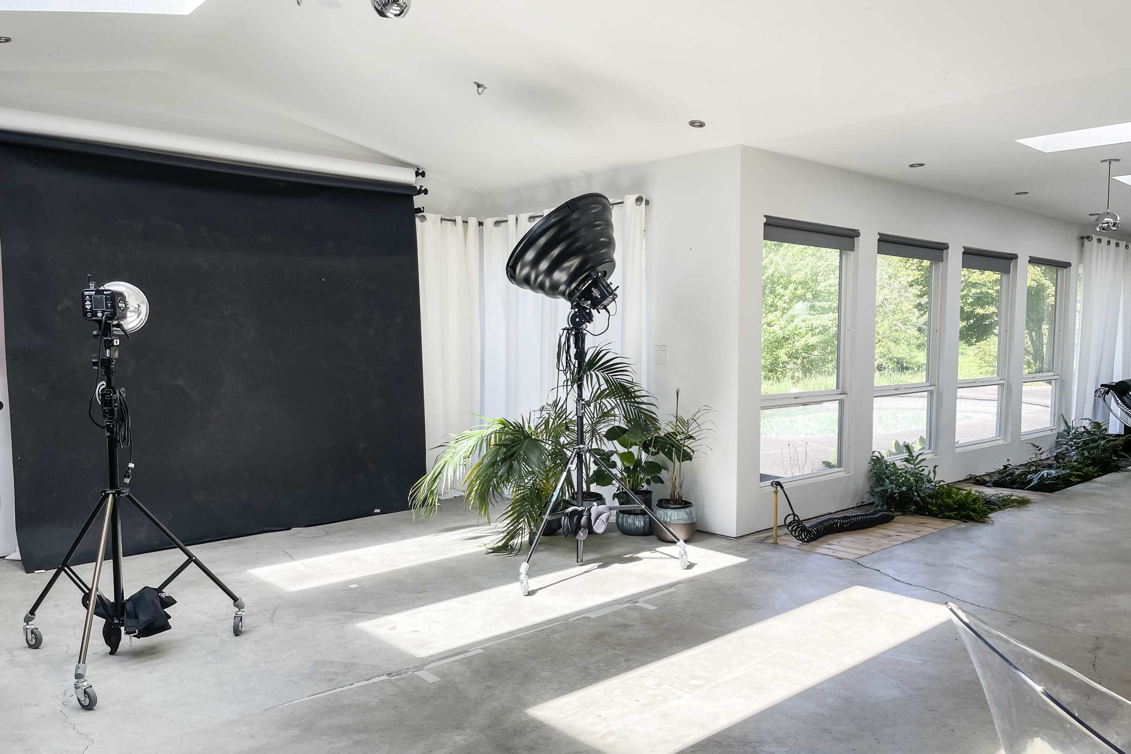 The image shows a bright studio space with a black backdrop, photography equipment on stands, and indoor plants near large windows.
