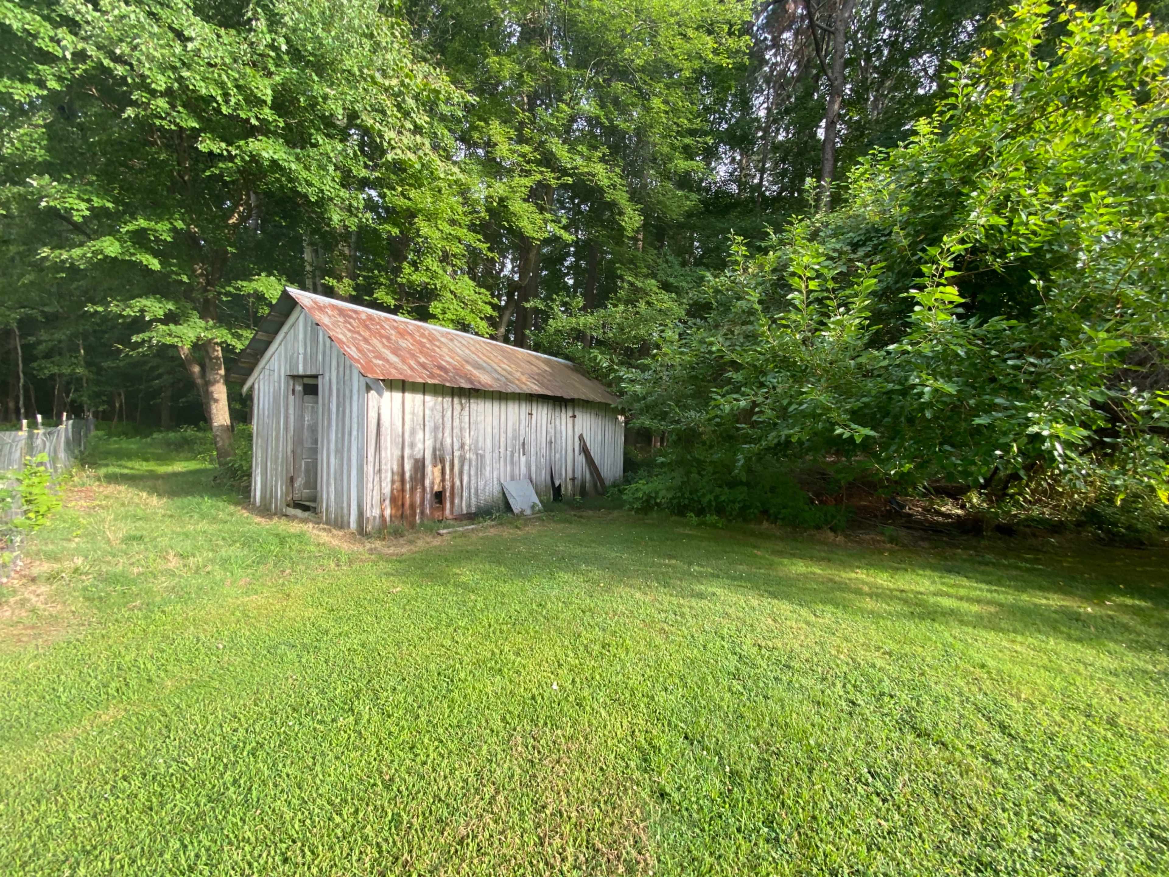 A rustic, weathered shed surrounded by greenery in a wooded area.