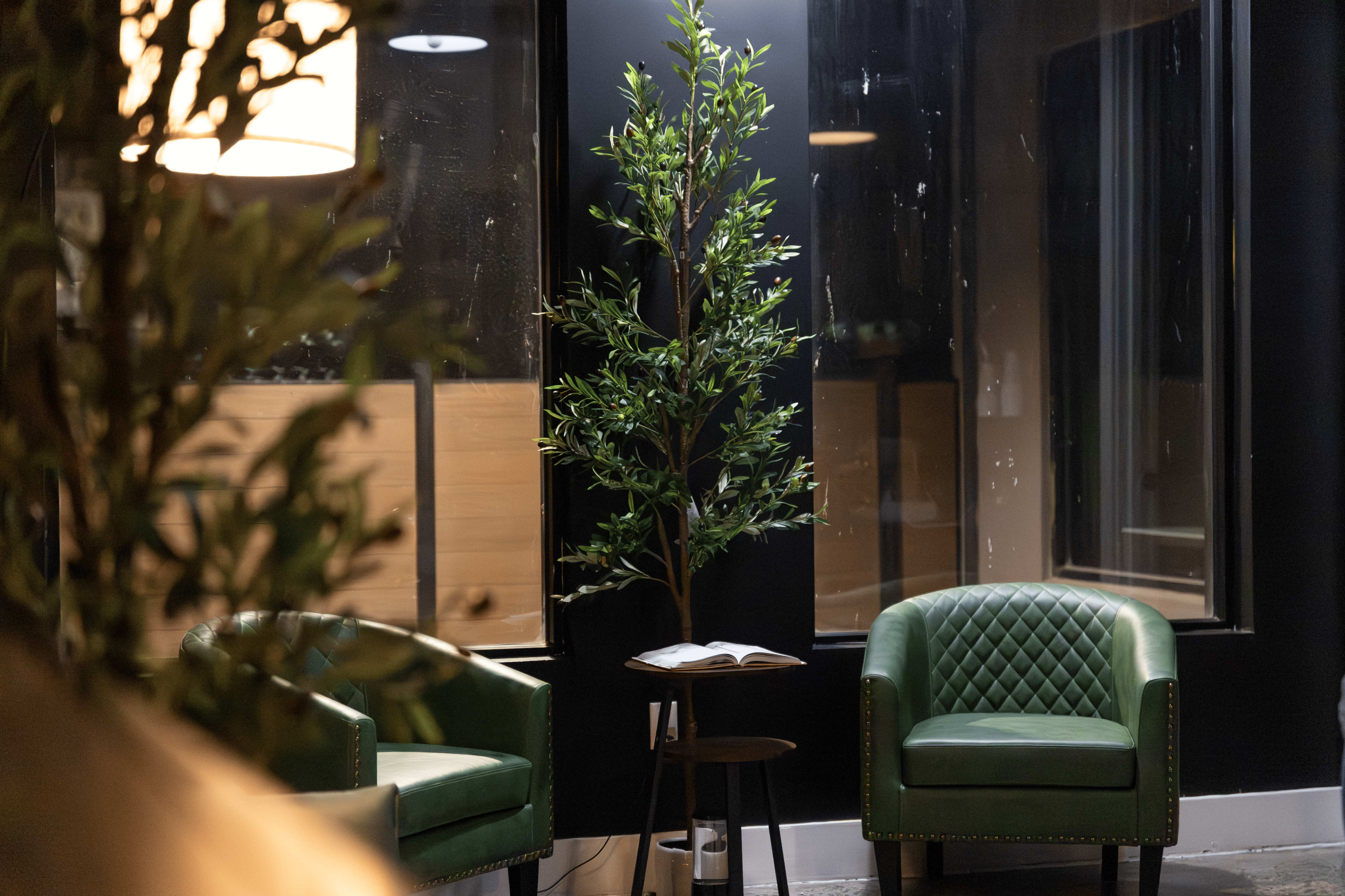 A small seating area features two green armchairs next to a round table with a book, all set against a dark wall with a potted tree nearby.