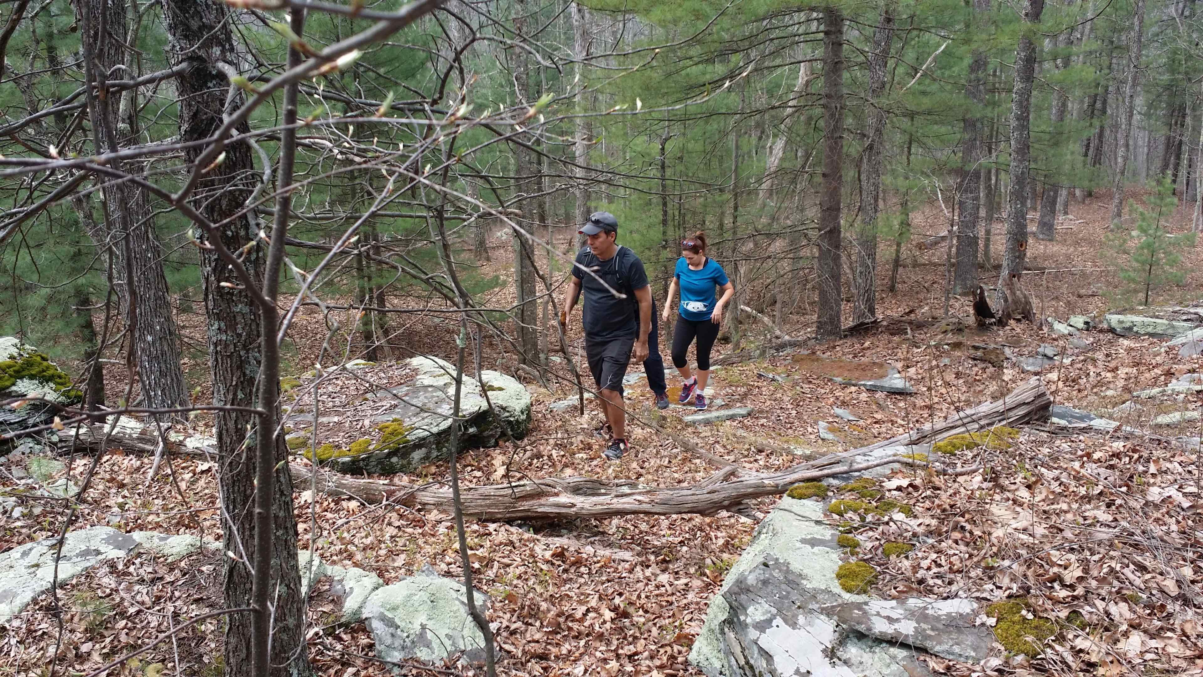 Two individuals are hiking on a rocky path in a wooded area.