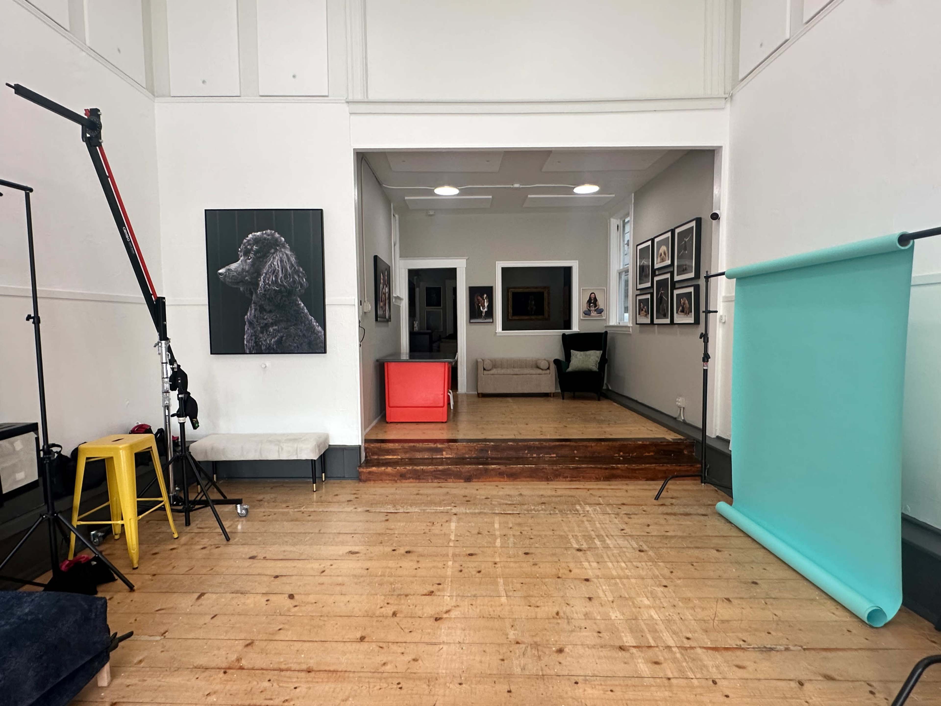The image shows a spacious room with wooden flooring, featuring a teal backdrop on the right, a large framed portrait of a dog on the left, and various artworks and furniture in the background.