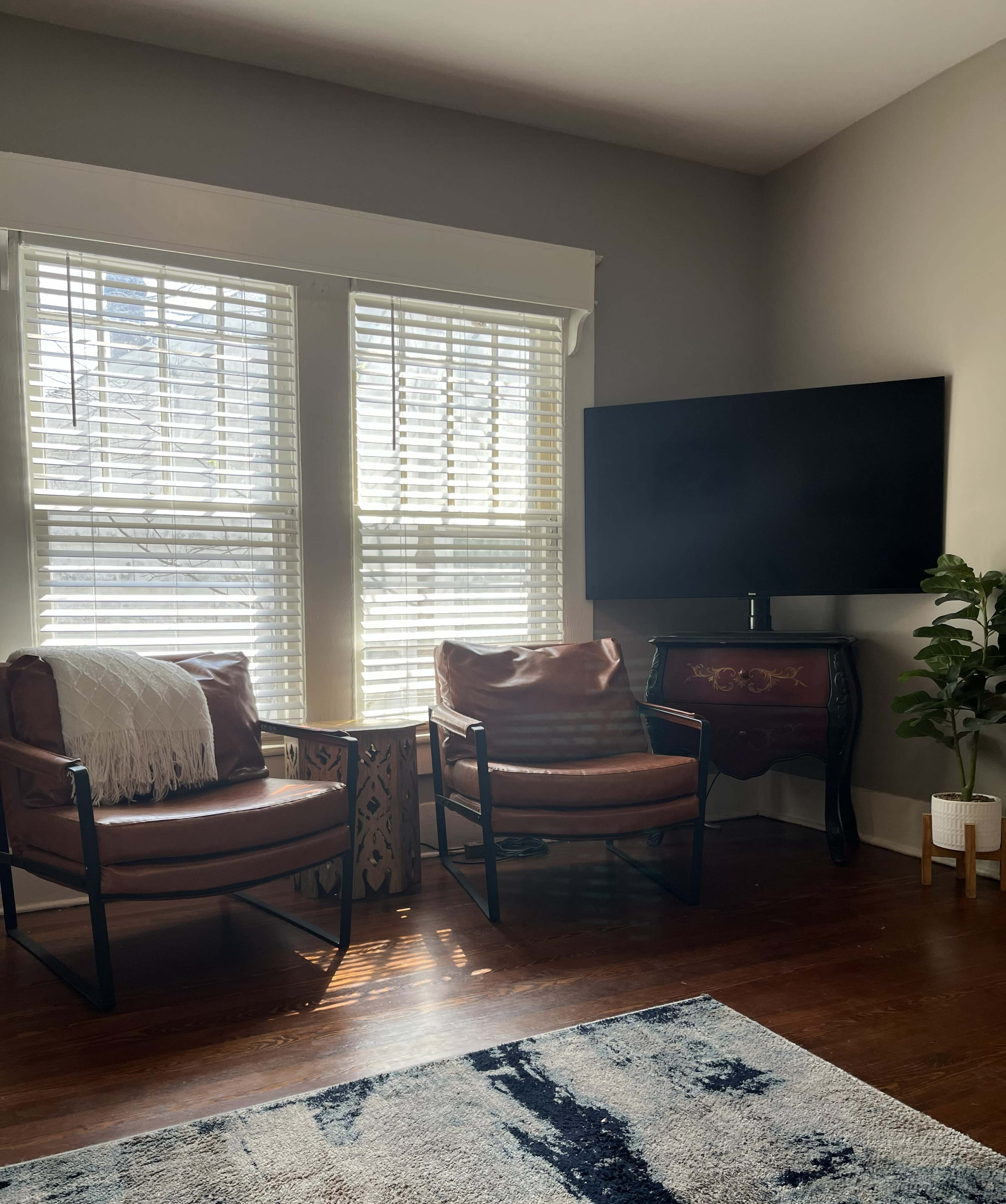 The image shows a cozy living room corner with two brown leather chairs facing a television mounted on the wall, accompanied by a small table and a potted plant.