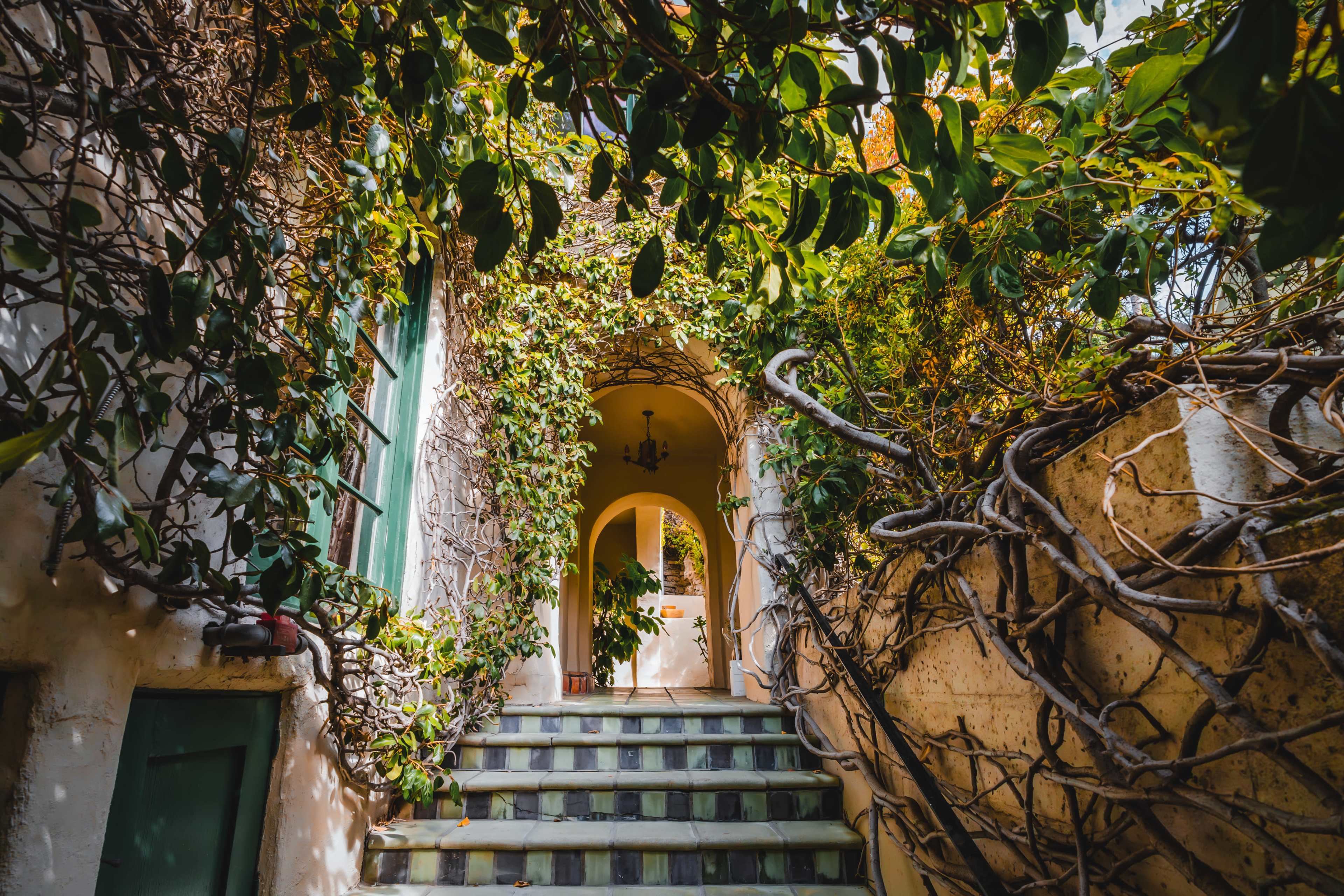 A narrow staircase leads up through an archway surrounded by lush greenery and twisting vines.