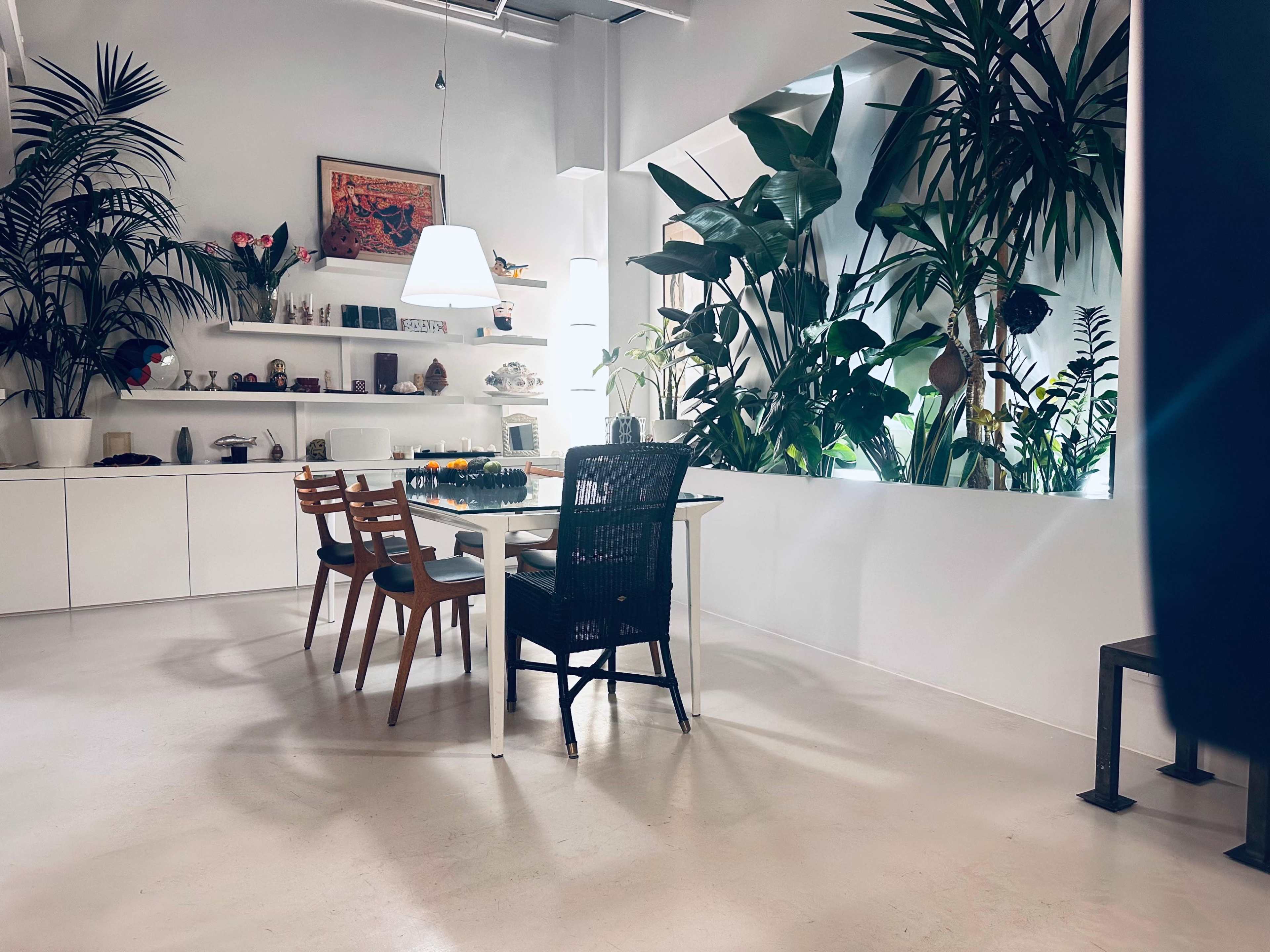 Loft oasis sous verrière vegétalisée paris 11 en RDC & Parking privé Image in Ste Marguerite, Paris