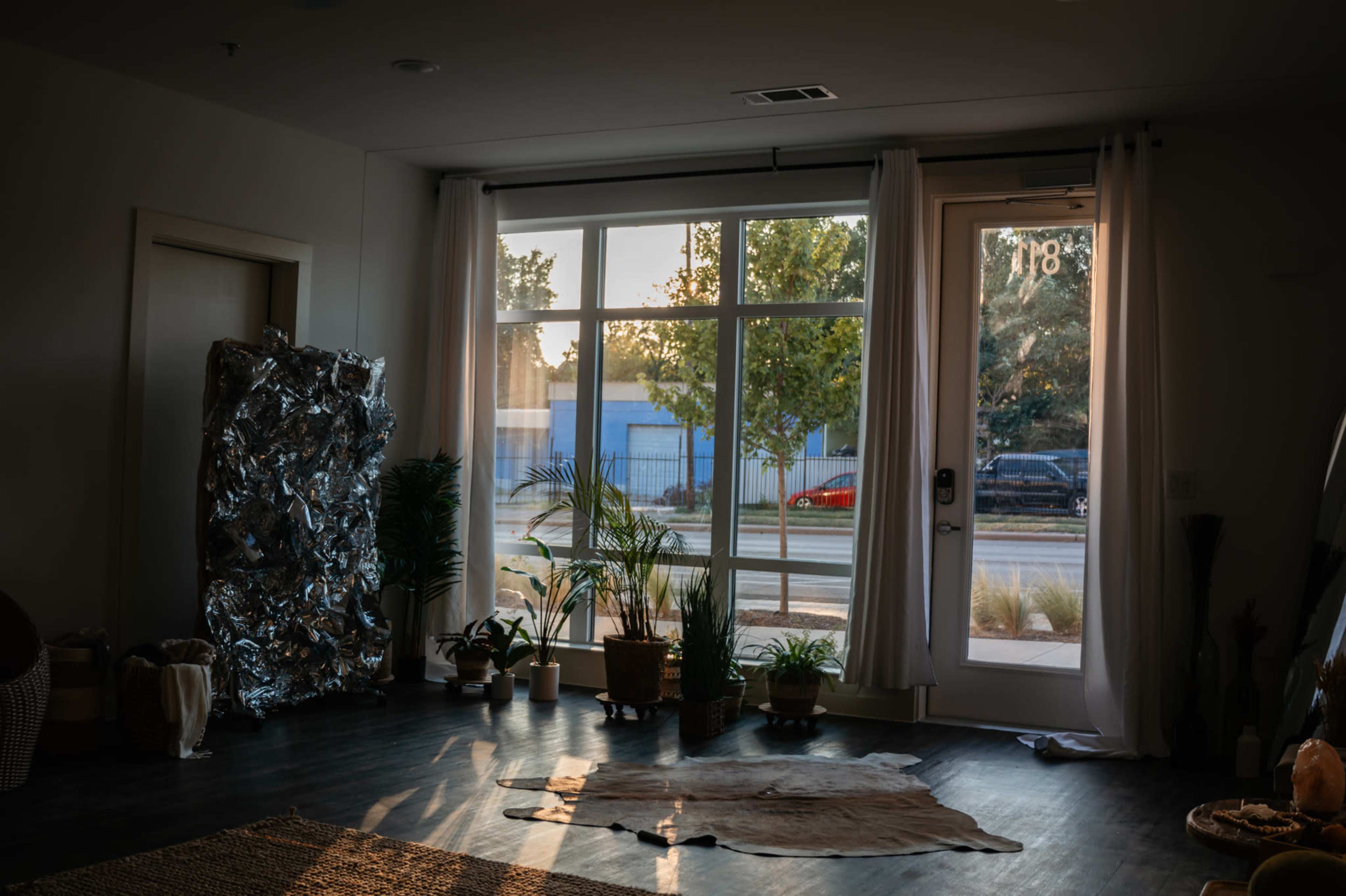 A sunlit room features large windows, potted plants, and a cowhide rug on the floor, with a view of the street outside.