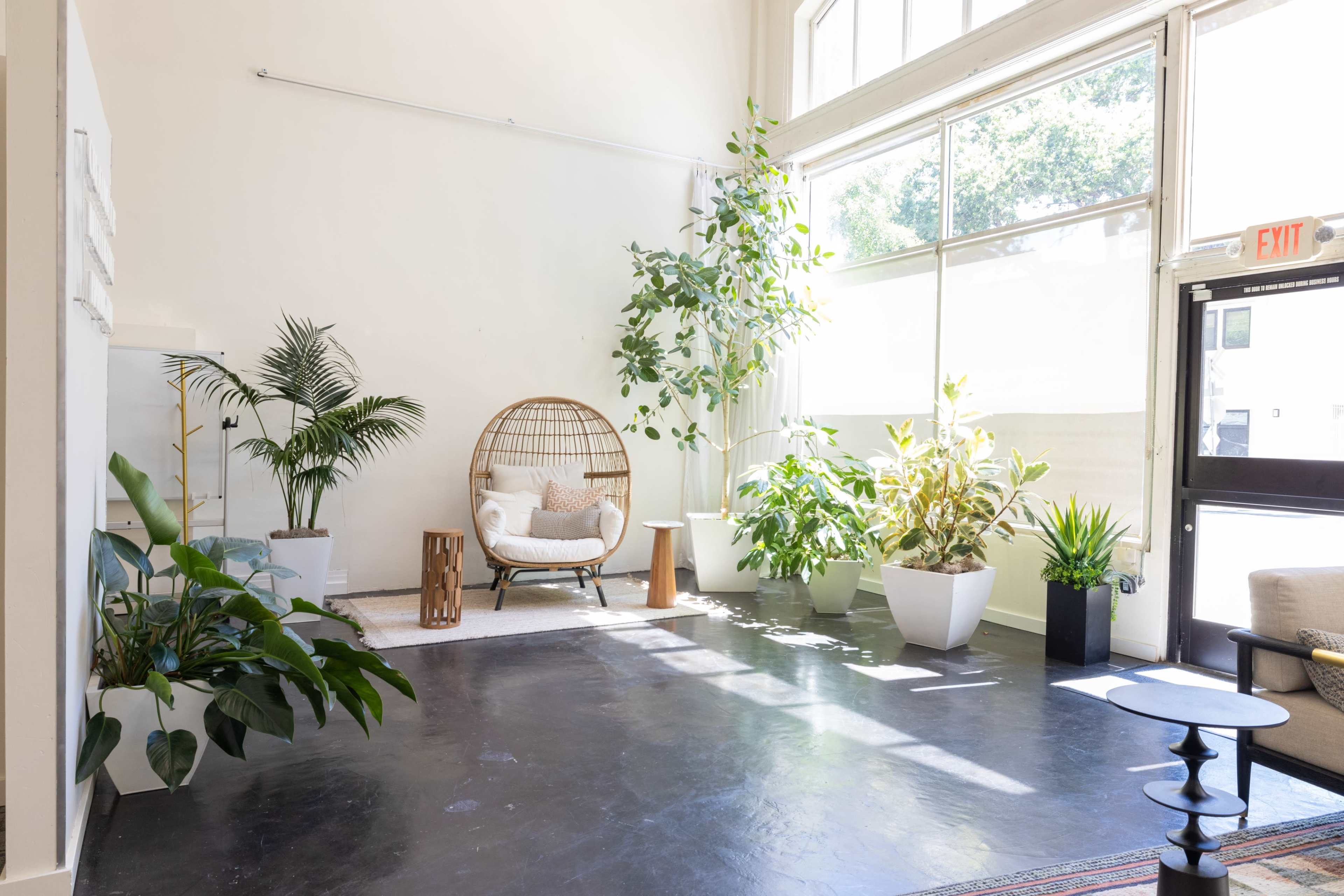 A bright interior space features a mix of potted plants, a rattan chair, and large windows allowing natural light to fill the area.