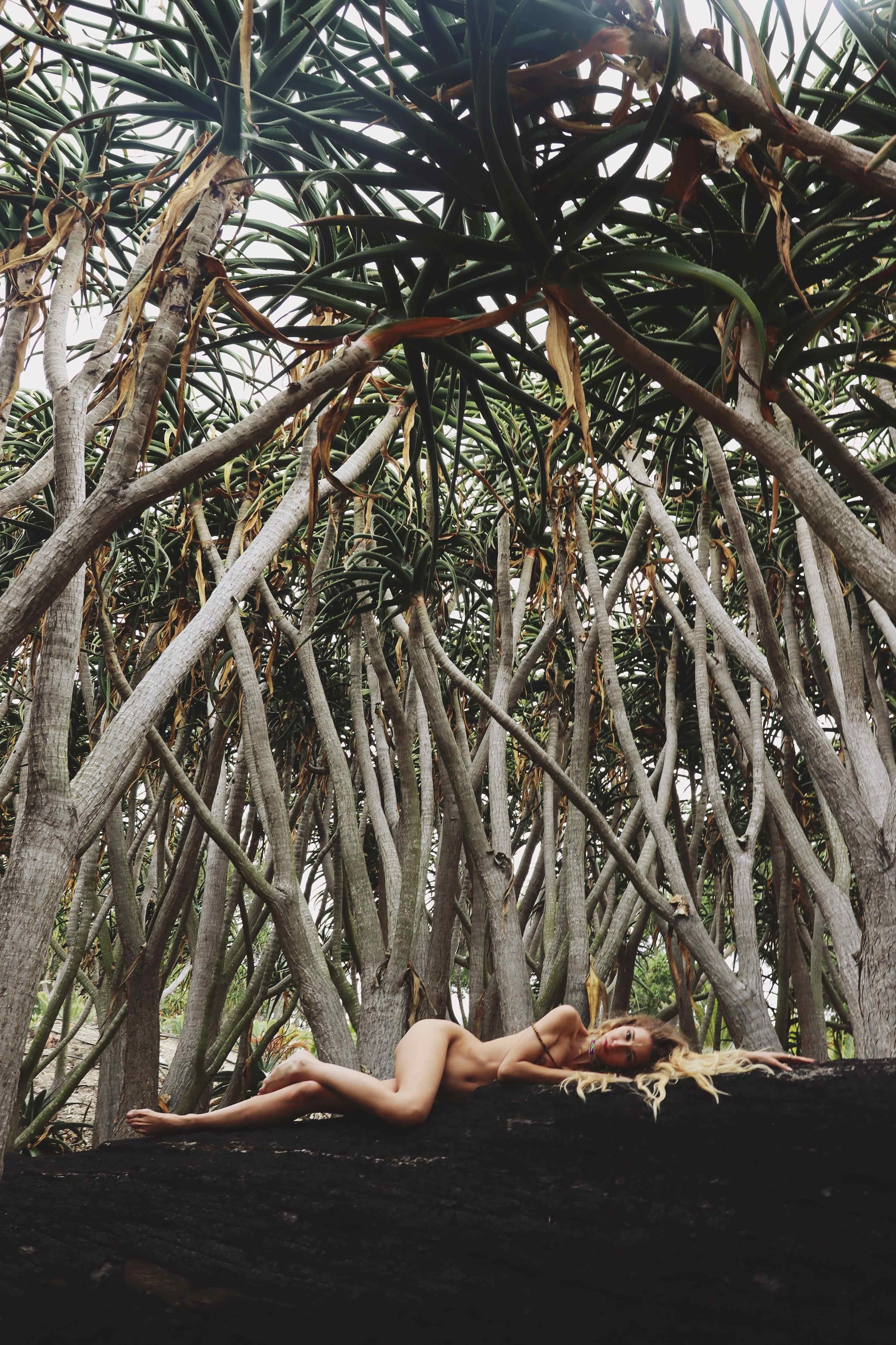 A figure lies among the twisted branches of trees in a dense, green landscape.