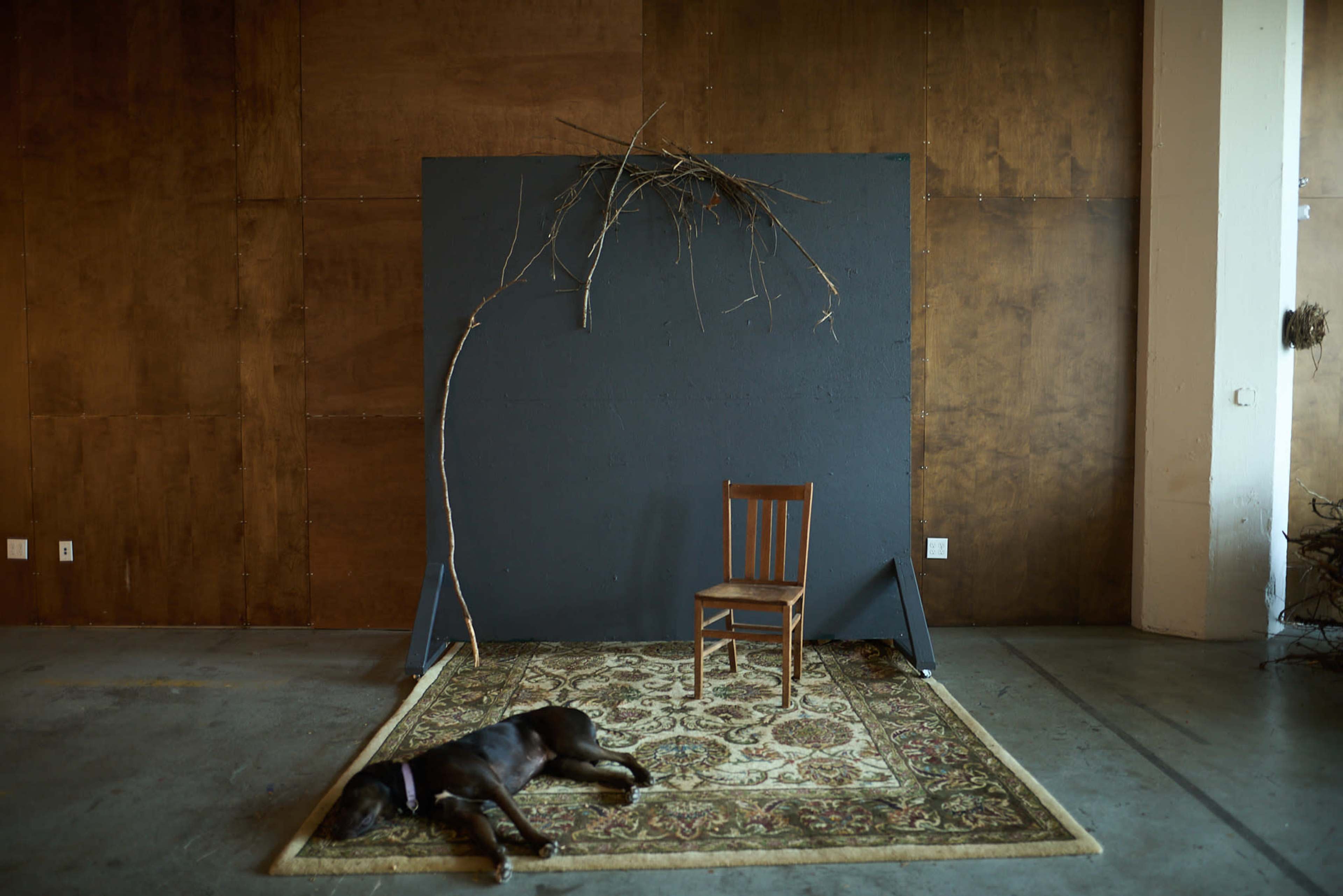 A wooden chair is positioned on a patterned rug in front of a dark wall, beneath which a branch rests against the wall, while a dog lies on the floor nearby.