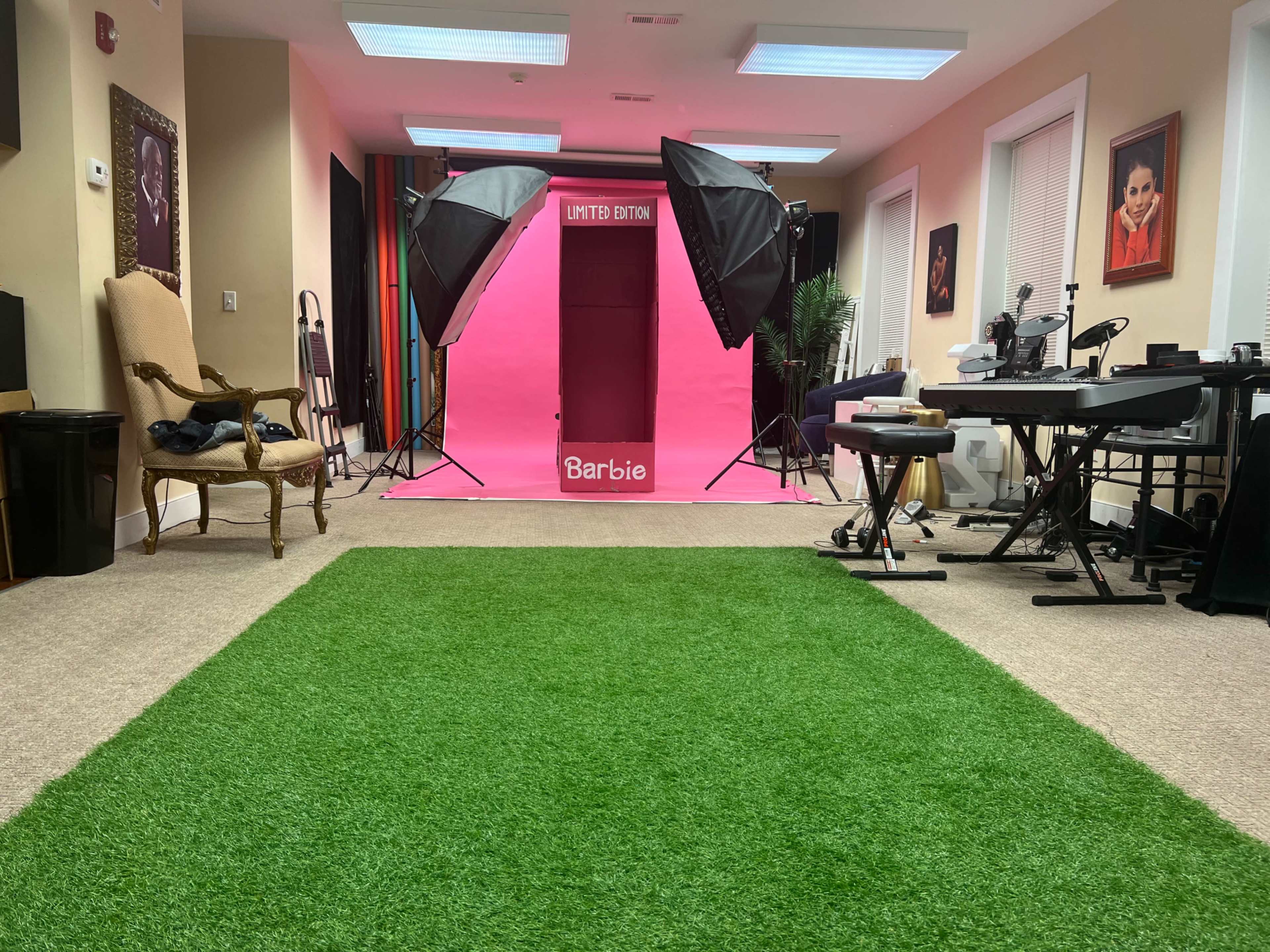 The image shows a room with a bright pink backdrop labeled "LIMITED EDITION" flanked by two professional lighting setups, while an artificial grass carpet covers the floor.