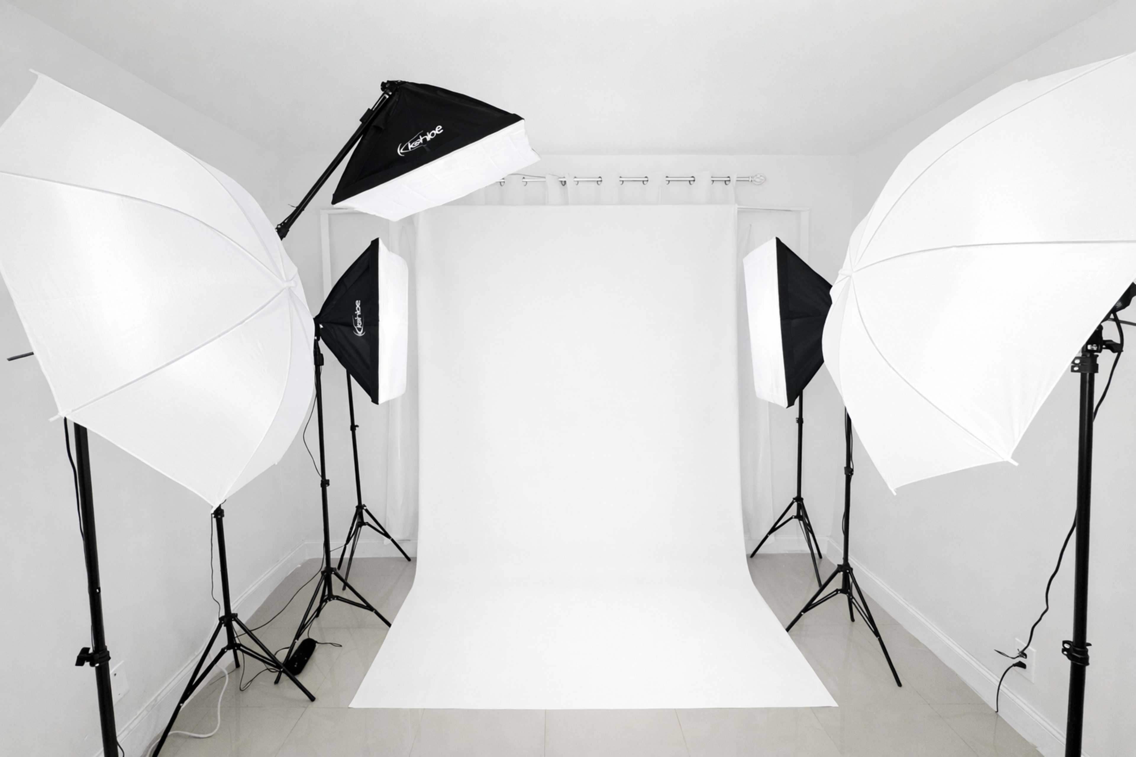 Miami PhotoShoot in Wynwood Art District Image in Wynwood, Miami, FL