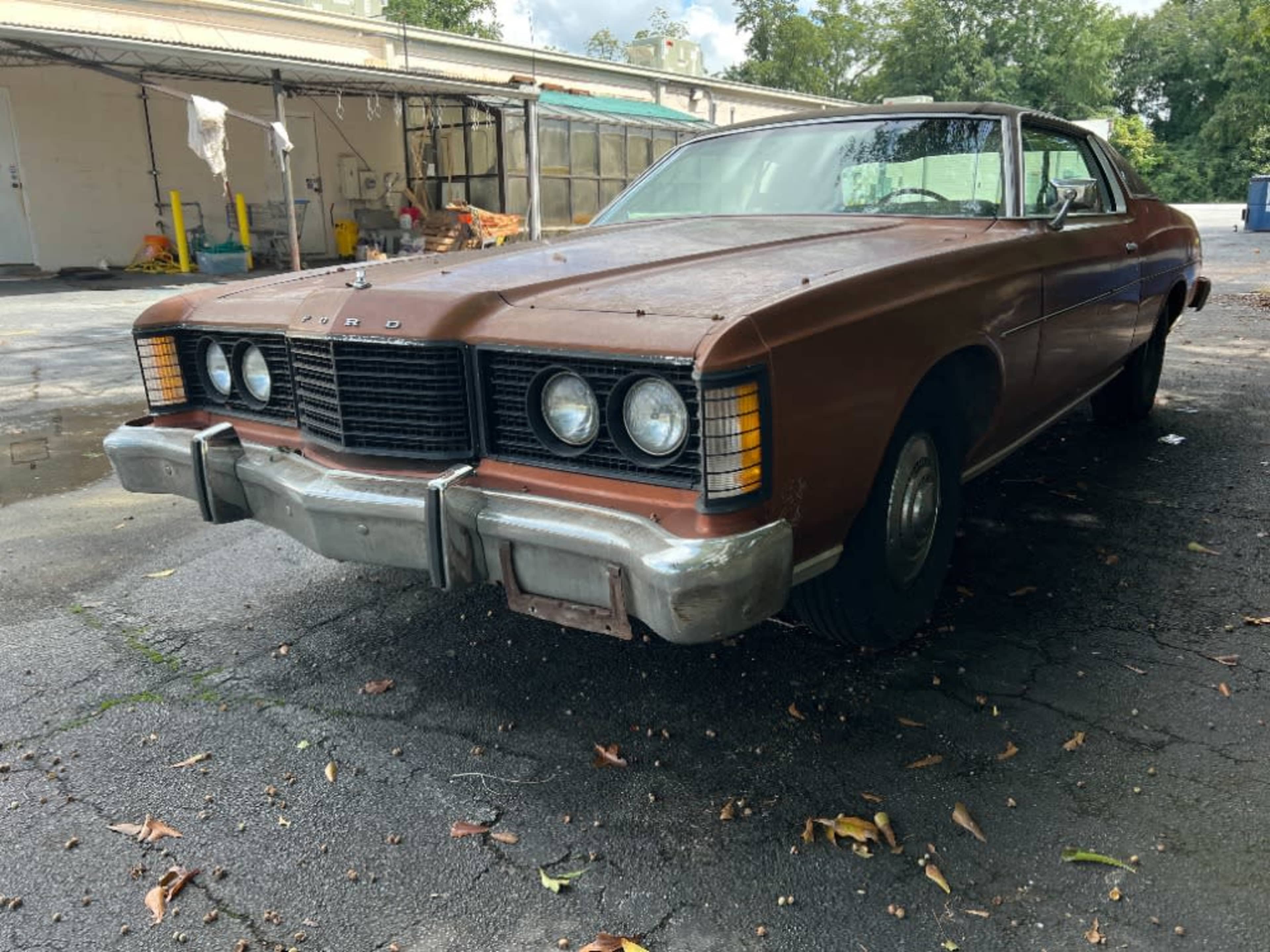 Ford Limited 1974 Picture Car